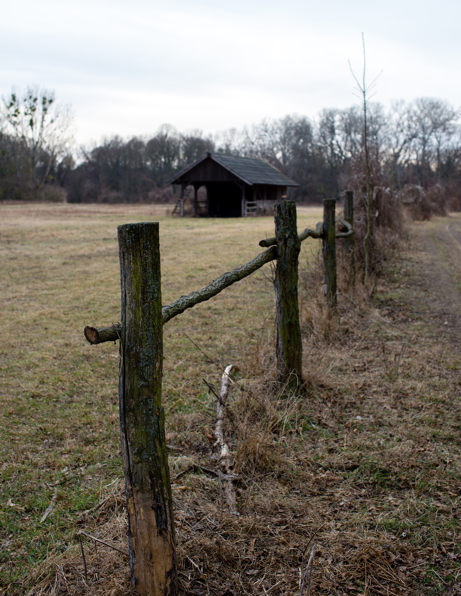 Nikon D610 + Sigma 50mm F1.4 EX DG HSM sample photo. Waldhütte photography