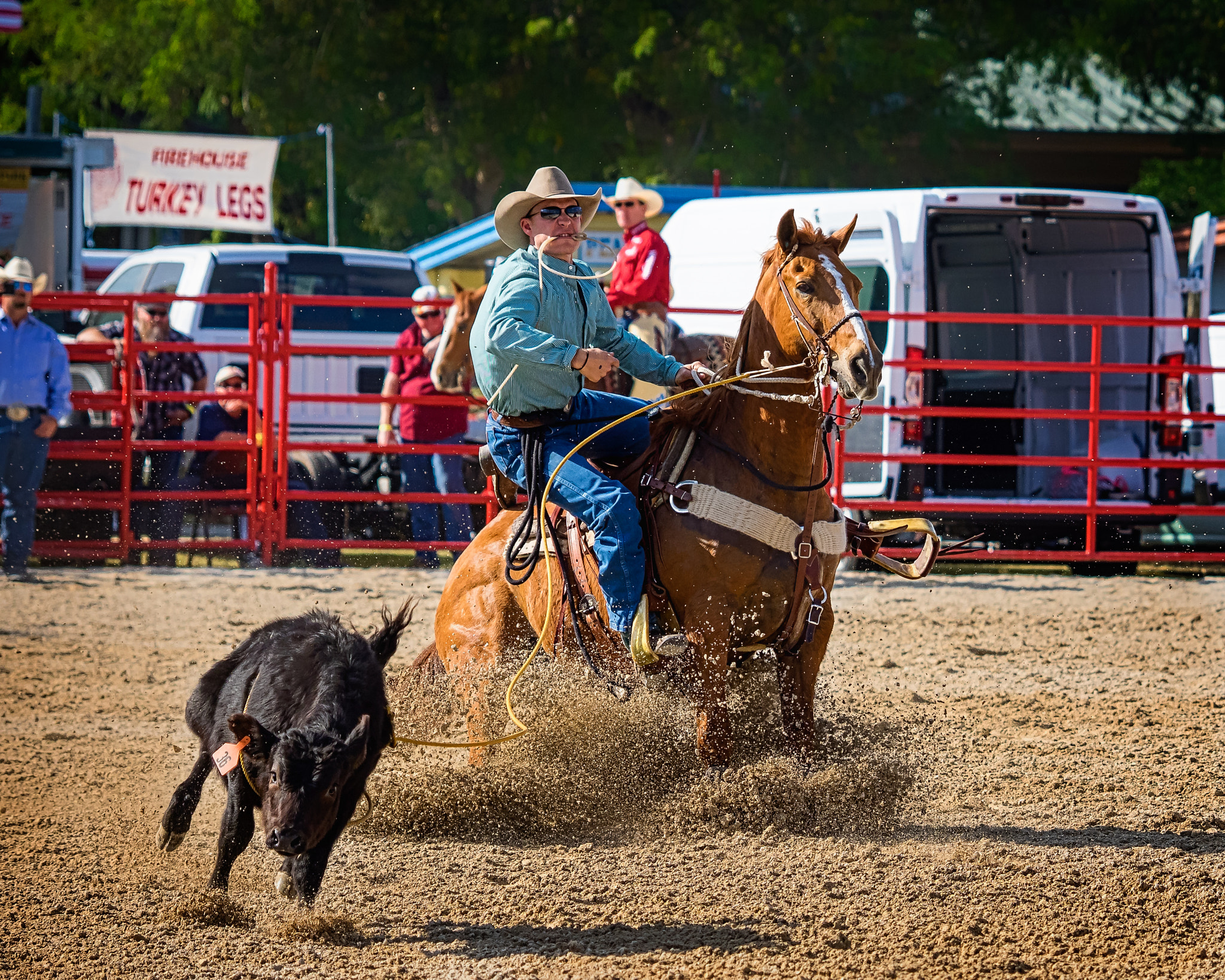 Olympus OM-D E-M1 sample photo. Tie down roping photography