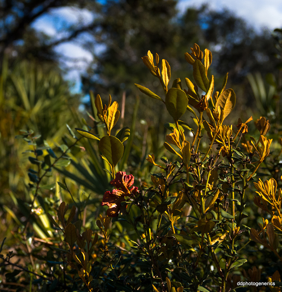 Olympus OM-D E-M10 II sample photo. Chasing lights... photography