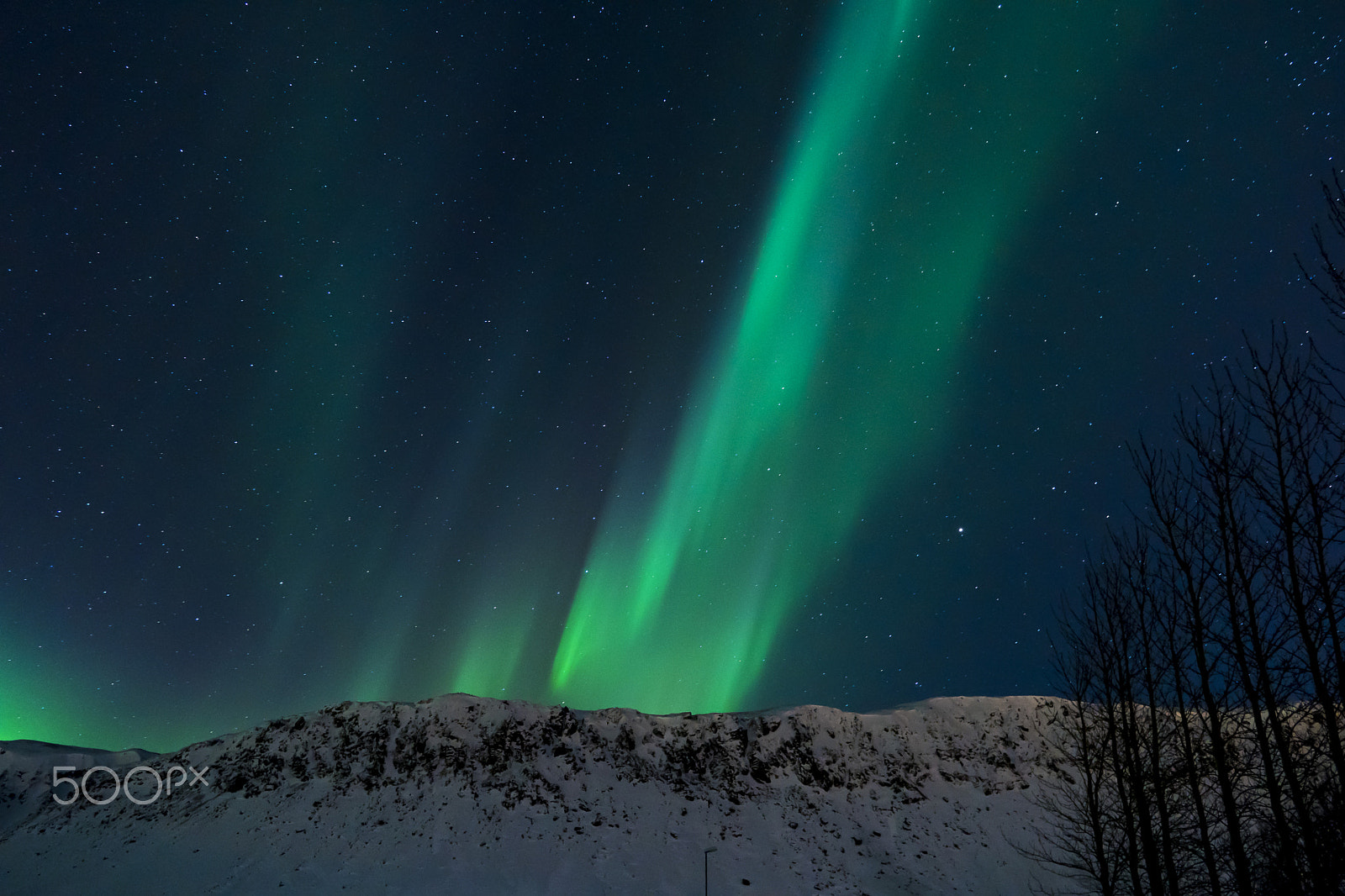 Sony a6500 + Sigma 19mm F2.8 EX DN sample photo. Northern lighs at ingolfsskali restaurant photography