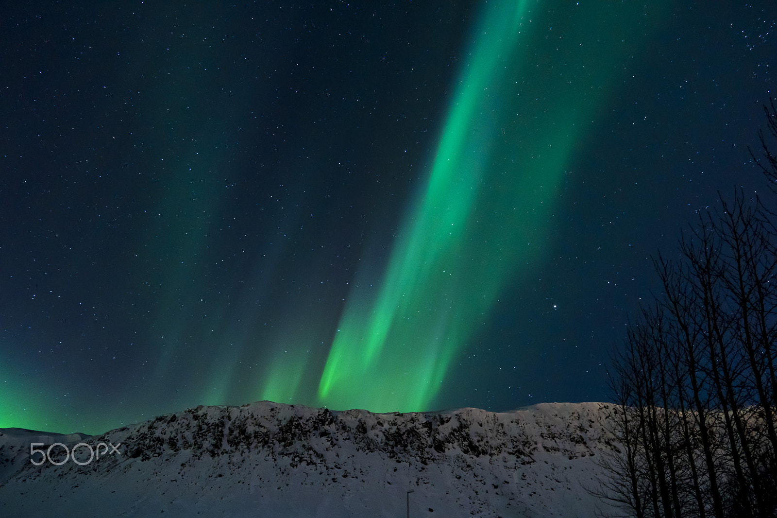 Sony a6500 sample photo. Northern lighs at ingolfsskali restaurant photography