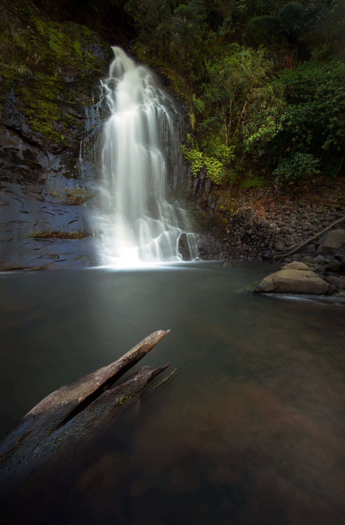 Nikon D600 sample photo. Serenity photography