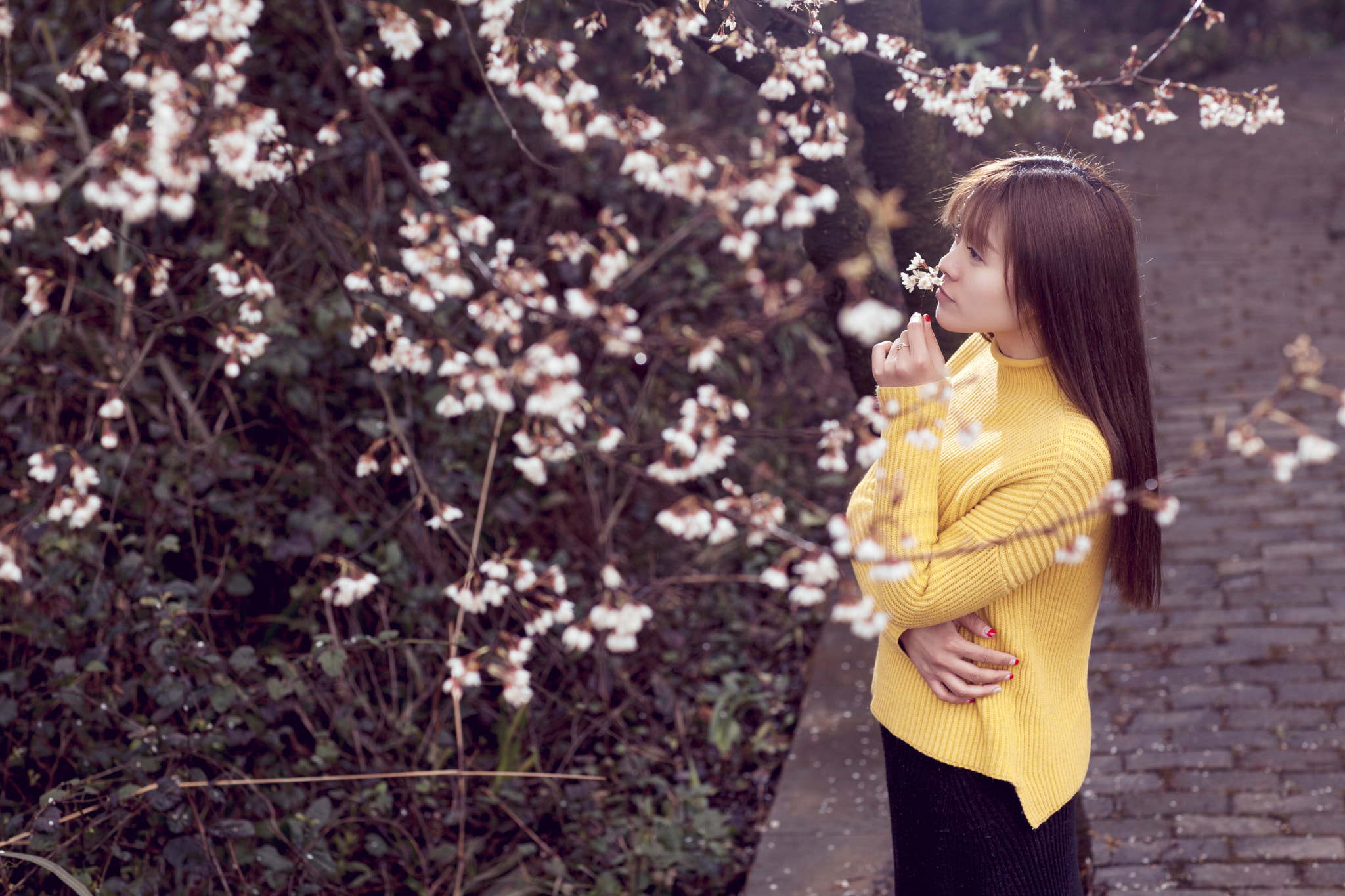 Canon EF 85mm F1.2L II USM sample photo. 生命中最美丽的海 photography