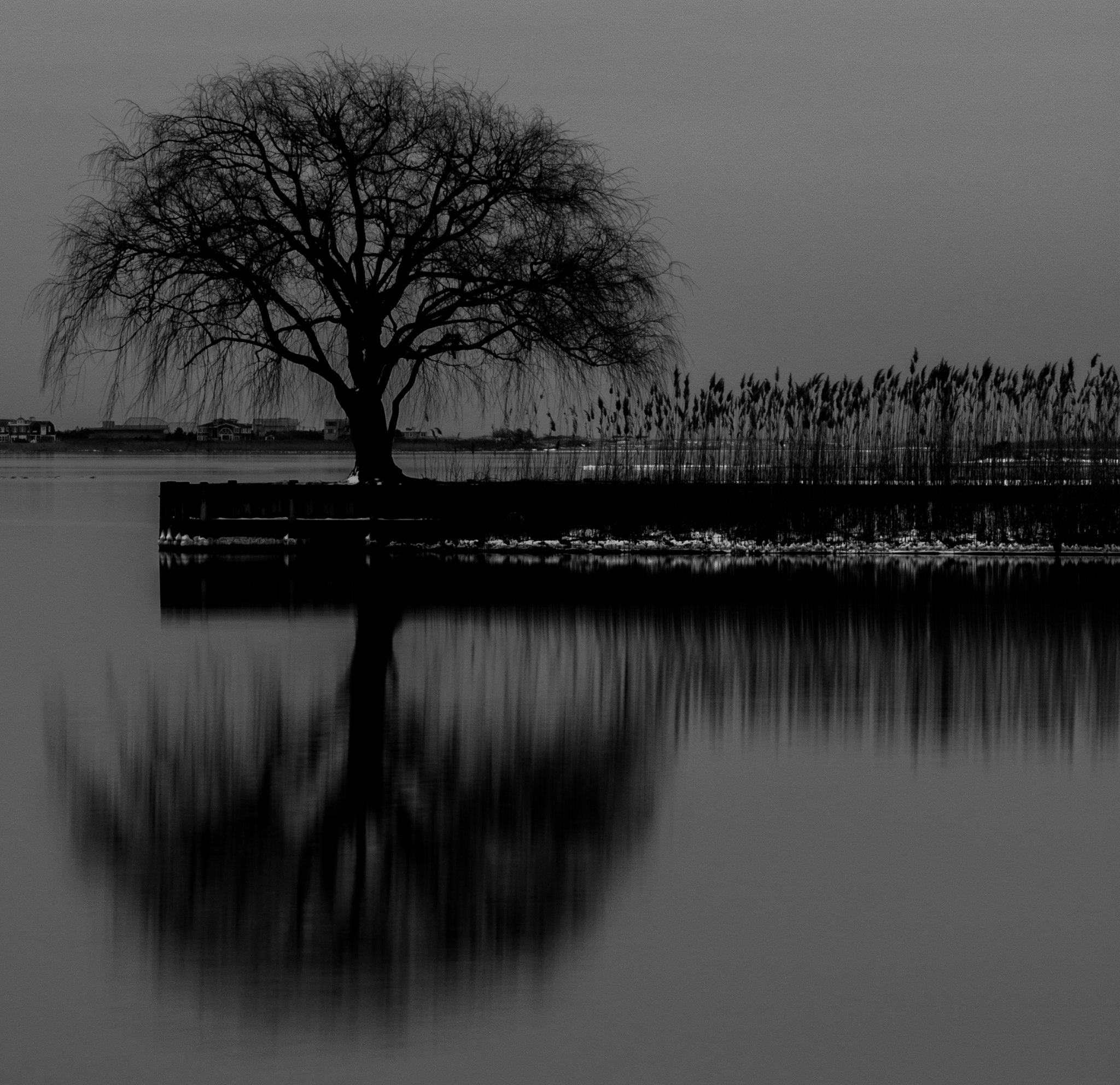 Canon EF-S 55-250mm F4-5.6 IS STM sample photo. Black and white sunset photography
