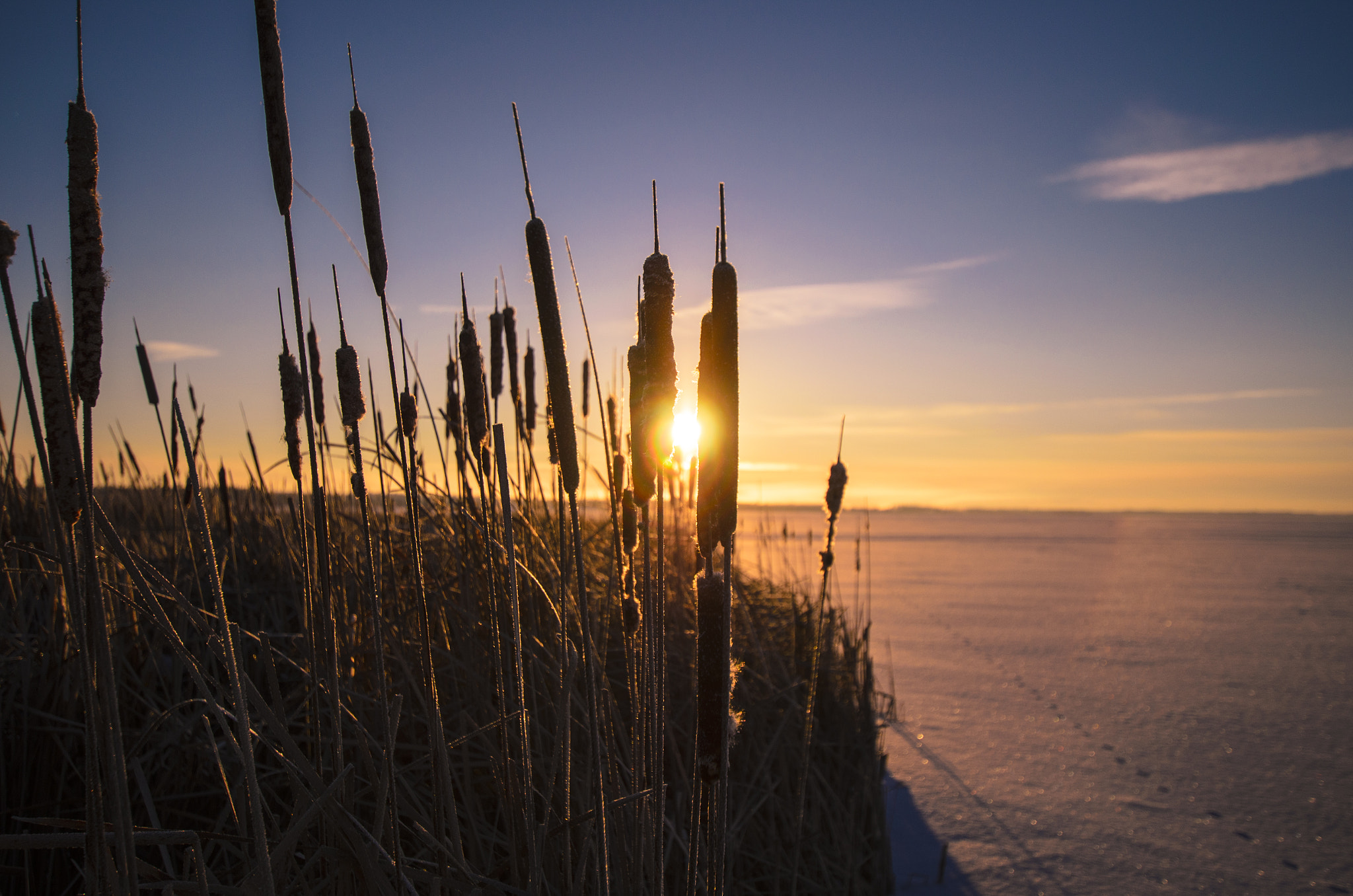 Nikon D5100 + Sigma 10-20mm F3.5 EX DC HSM sample photo. Canada photography