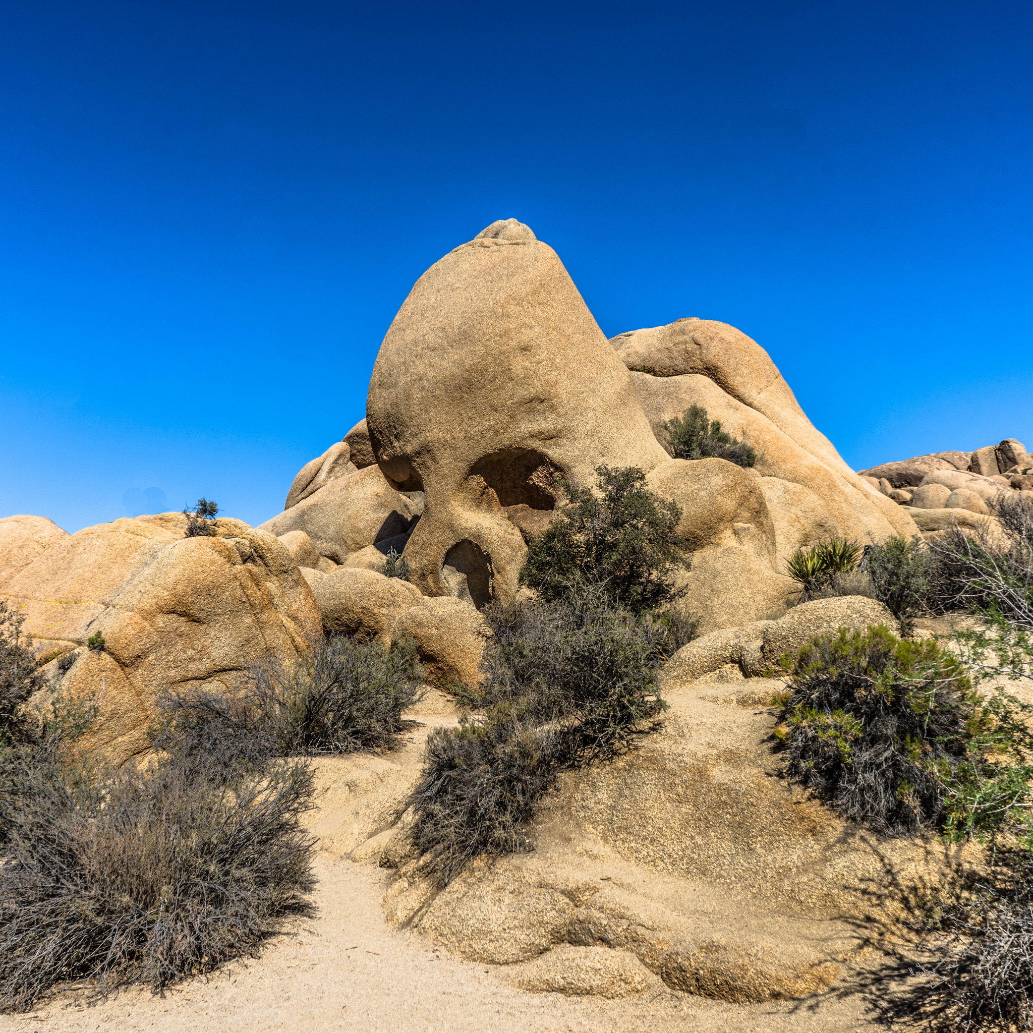 Sony a7R + Sony FE 28-70mm F3.5-5.6 OSS sample photo. Skull rock photography
