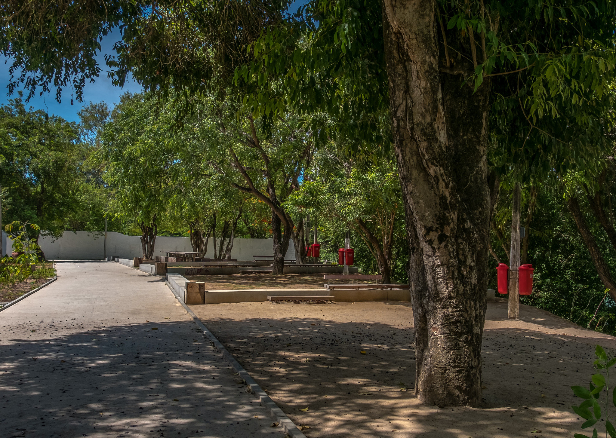 Fujifilm X-T2 + Fujifilm XF 18-135mm F3.5-5.6 R LM OIS WR sample photo. Baobá park, recife photography