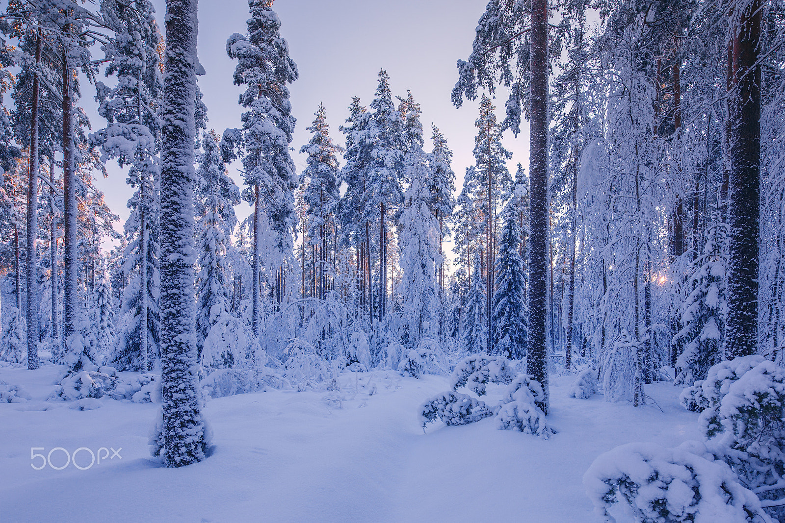 Canon EOS 6D sample photo. Russian winter photography