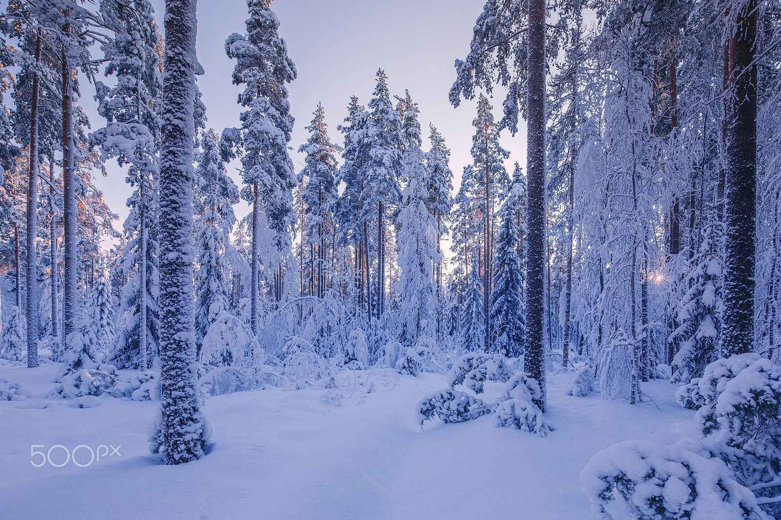 Canon TS-E 17mm F4L Tilt-Shift sample photo. Russian winter photography