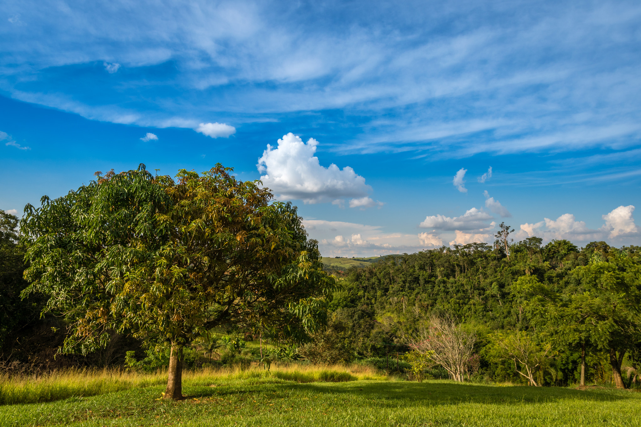 Sigma 17-50mm F2.8 EX DC OS HSM sample photo. Landscape photography