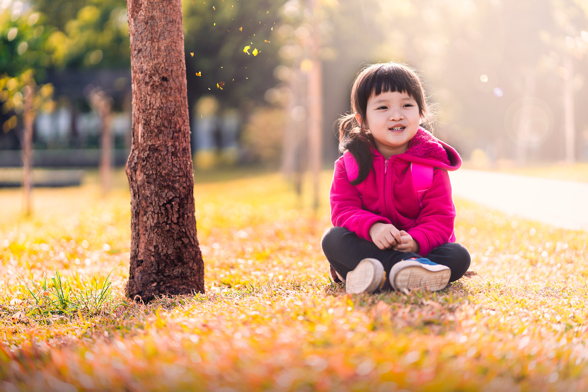 ZEISS Batis 85mm F1.8 sample photo. A day dream in the park photography