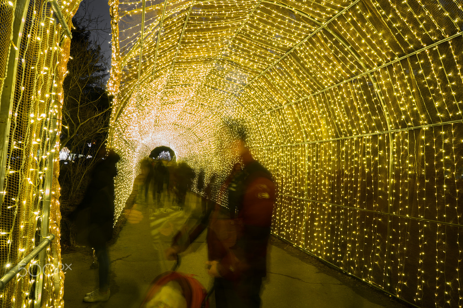 ZEISS Batis 25mm F2 sample photo. The garden of five light photography