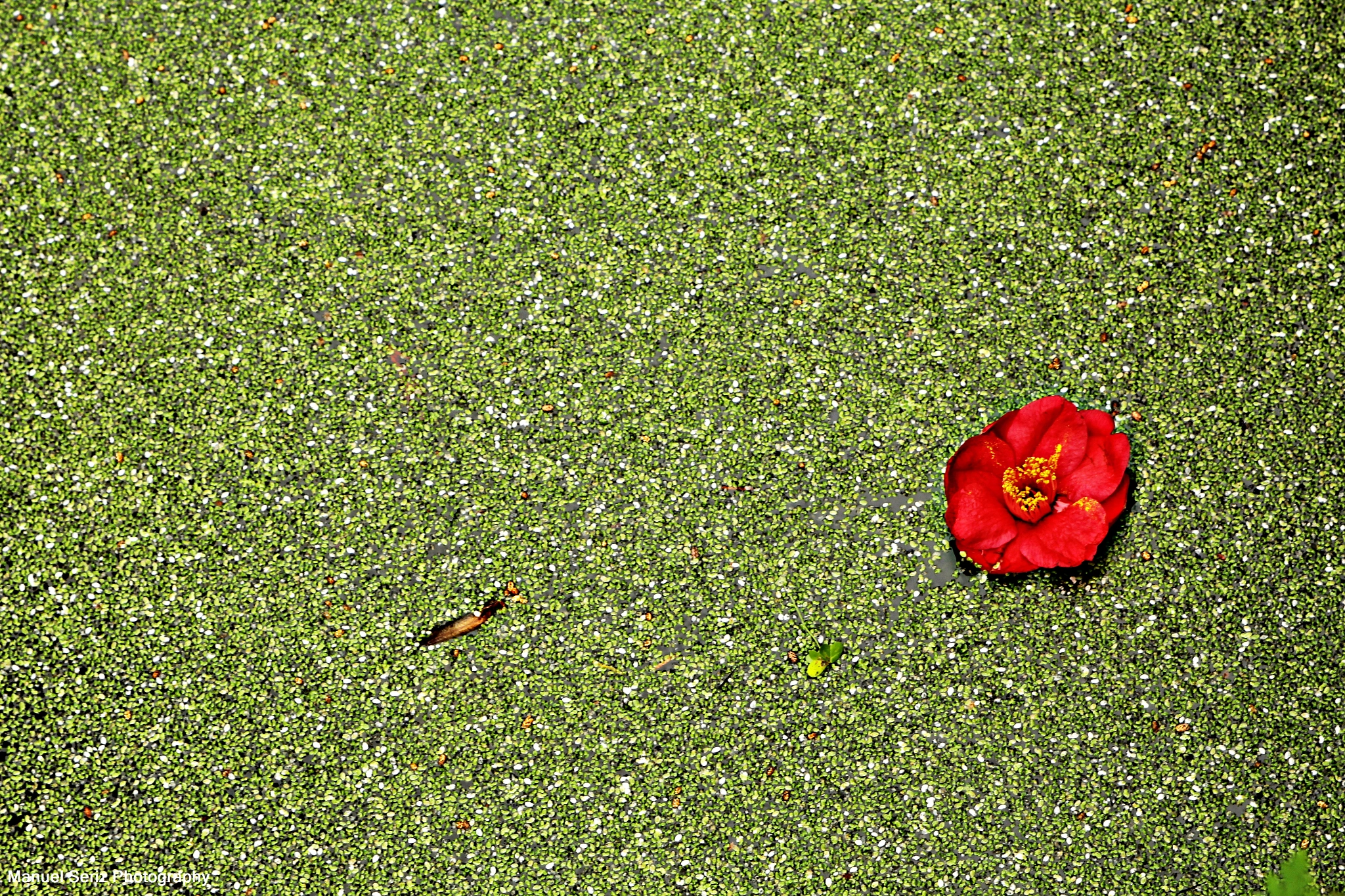 Canon EF 28-105mm f/3.5-4.5 USM sample photo. Img photography