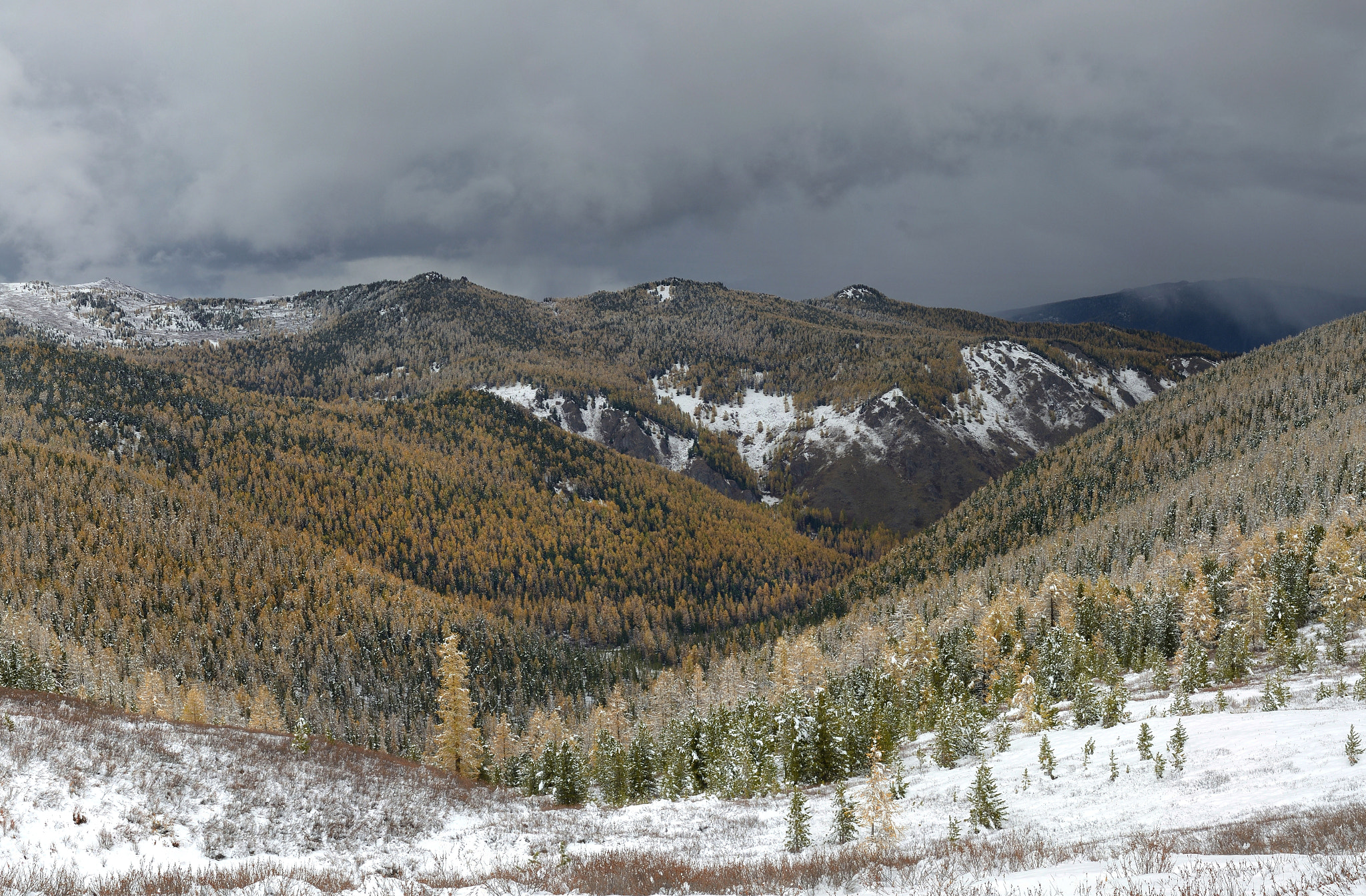 Nikon D800 sample photo. The view from the pass ora. photography
