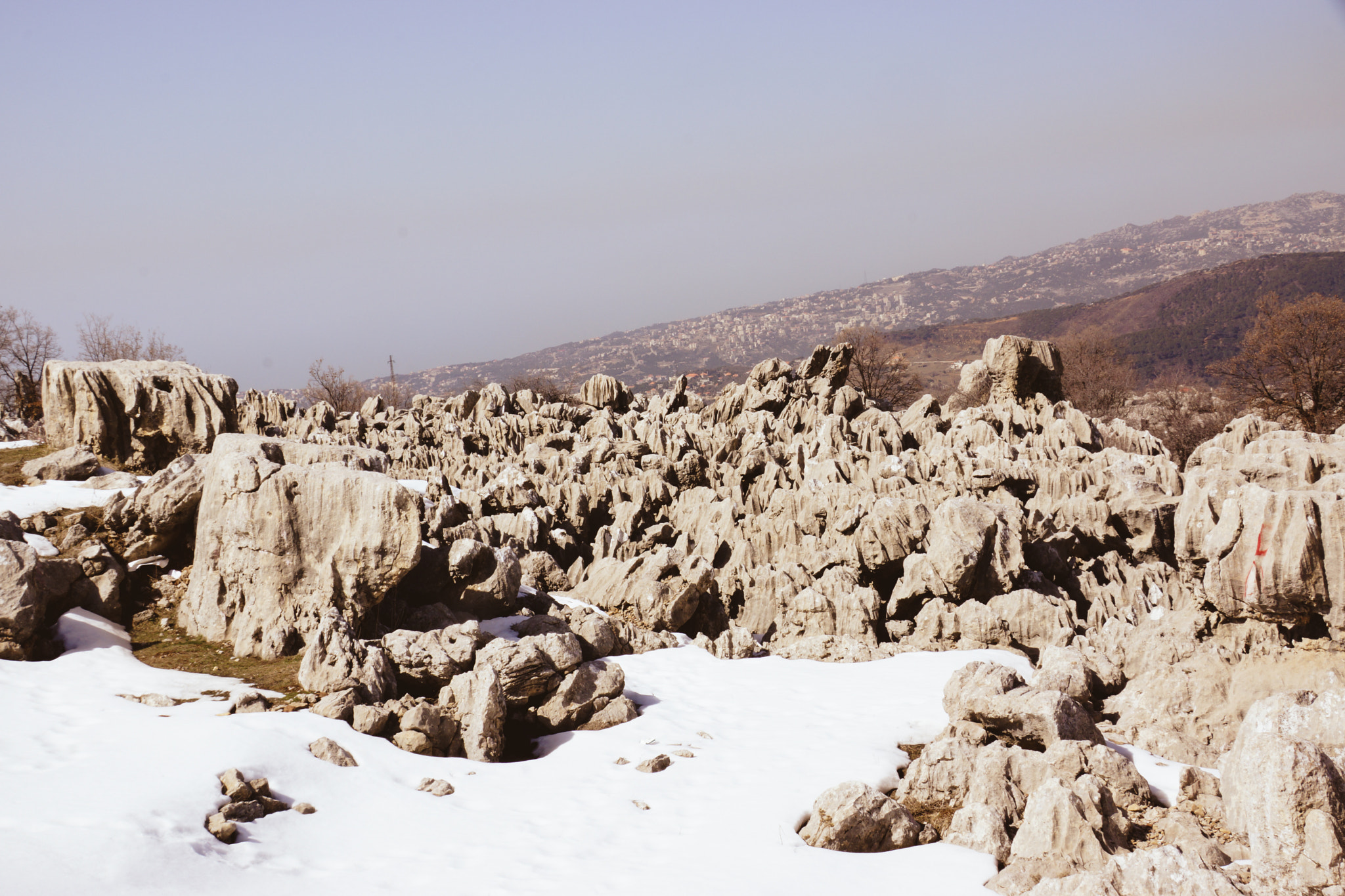 Sony DT 18-250mm F3.5-6.3 sample photo