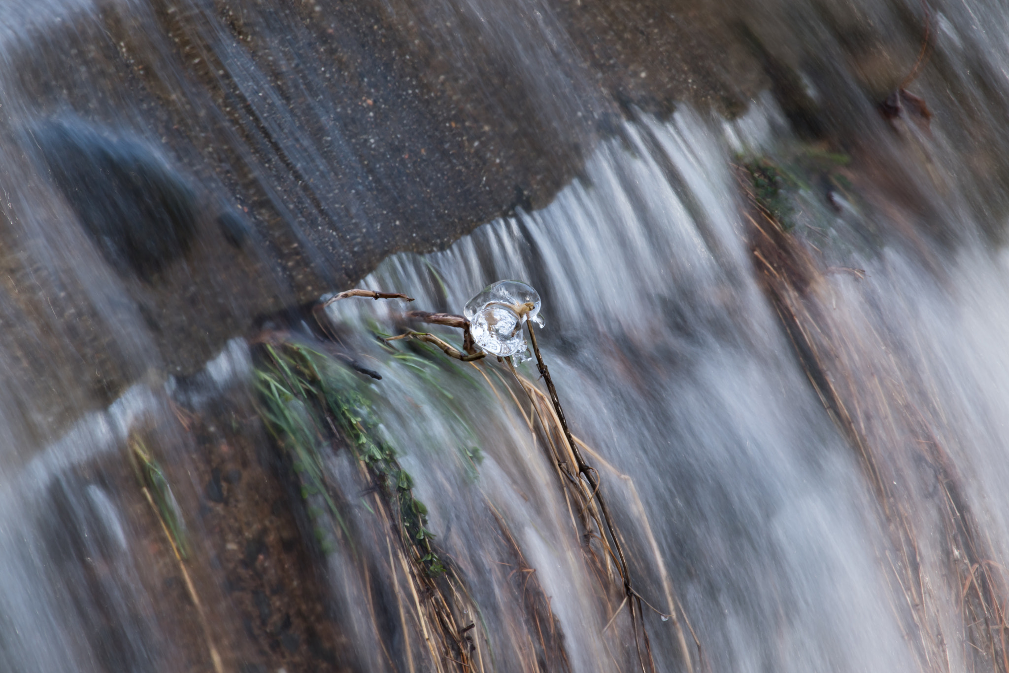 Nikon D5500 sample photo. Going with the flow photography