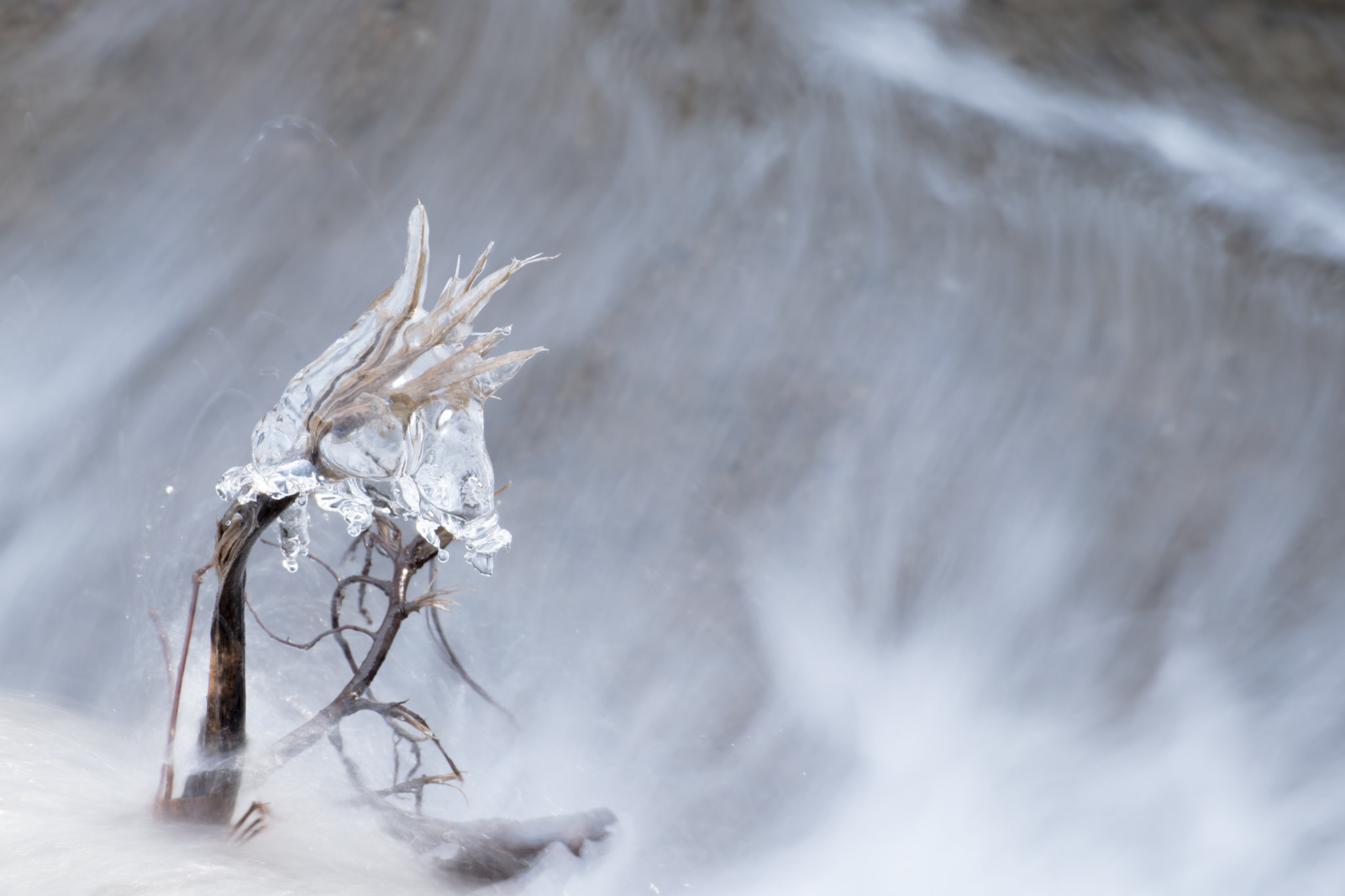 Nikon D5500 sample photo. Fantasy diamond photography