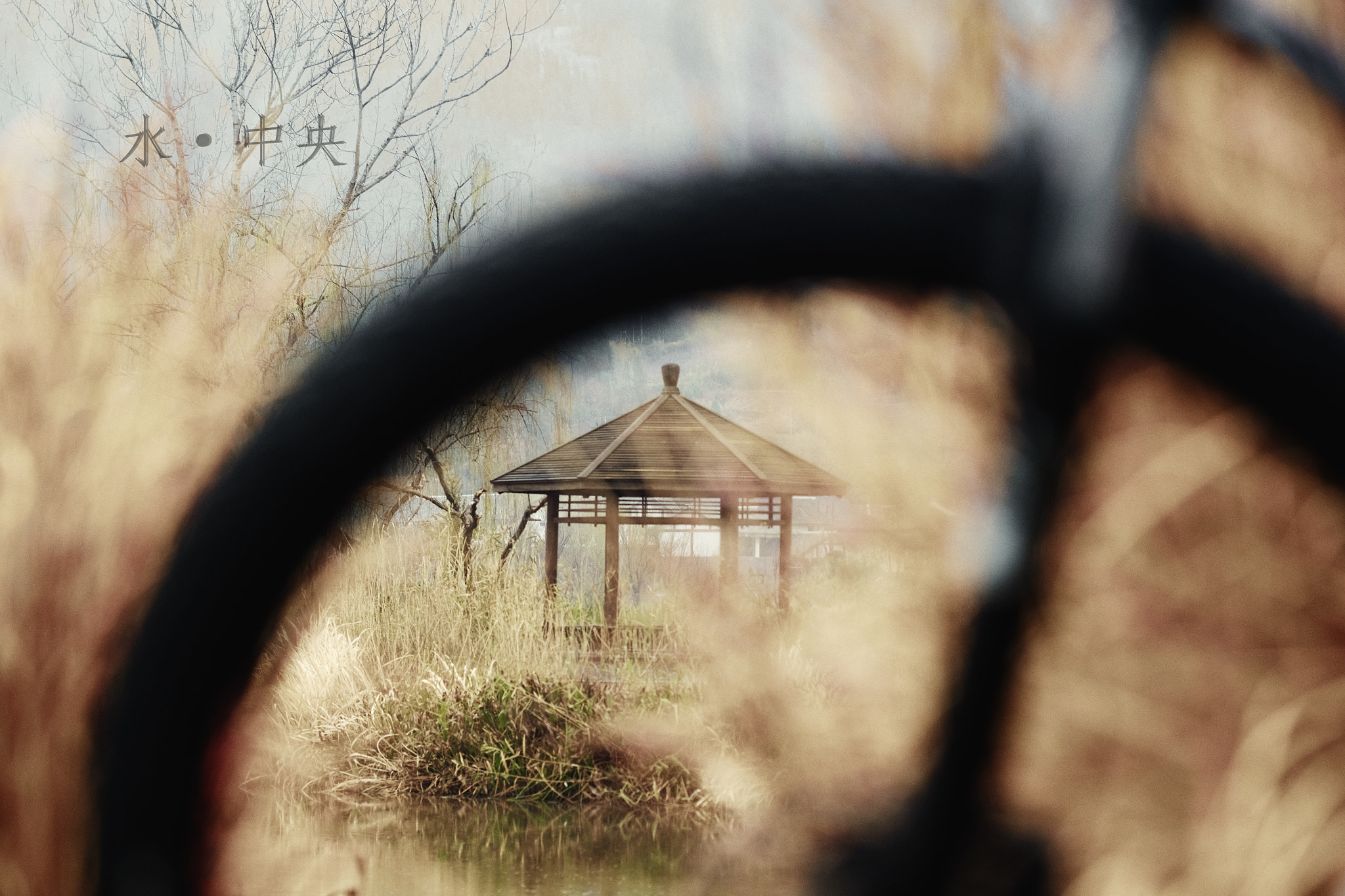 Fujifilm X-T1 + Fujifilm XF 90mm F2 R LM WR sample photo. 水中央 photography