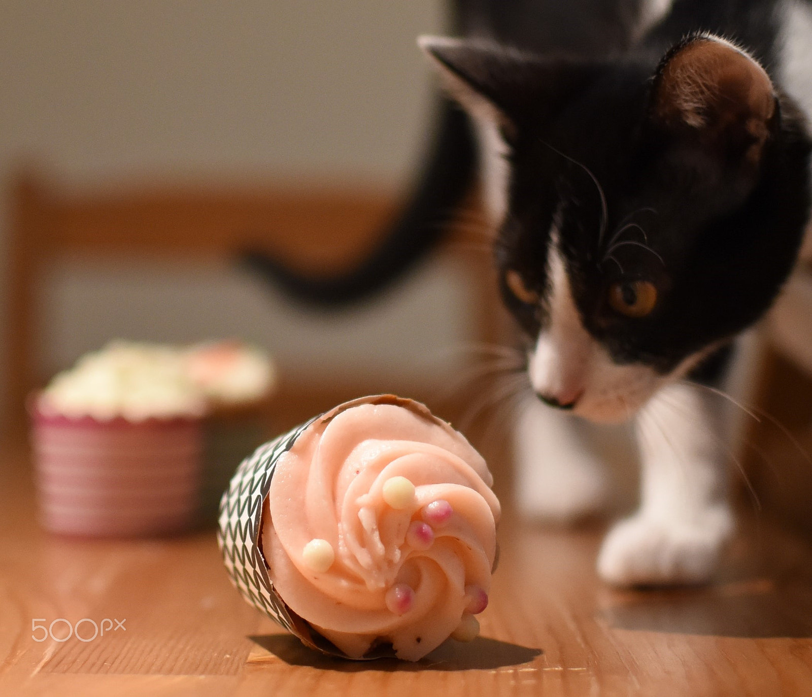 Nikon AF-S DX Nikkor 35mm F1.8G sample photo. You look yummy.... photography