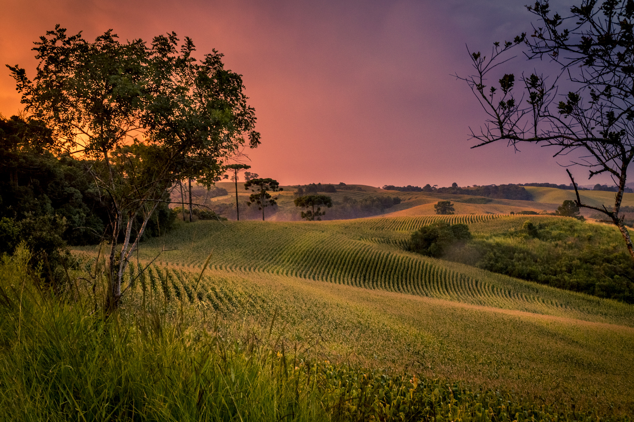 Canon EF-S 17-55mm F2.8 IS USM sample photo. Sunset in campo largo photography