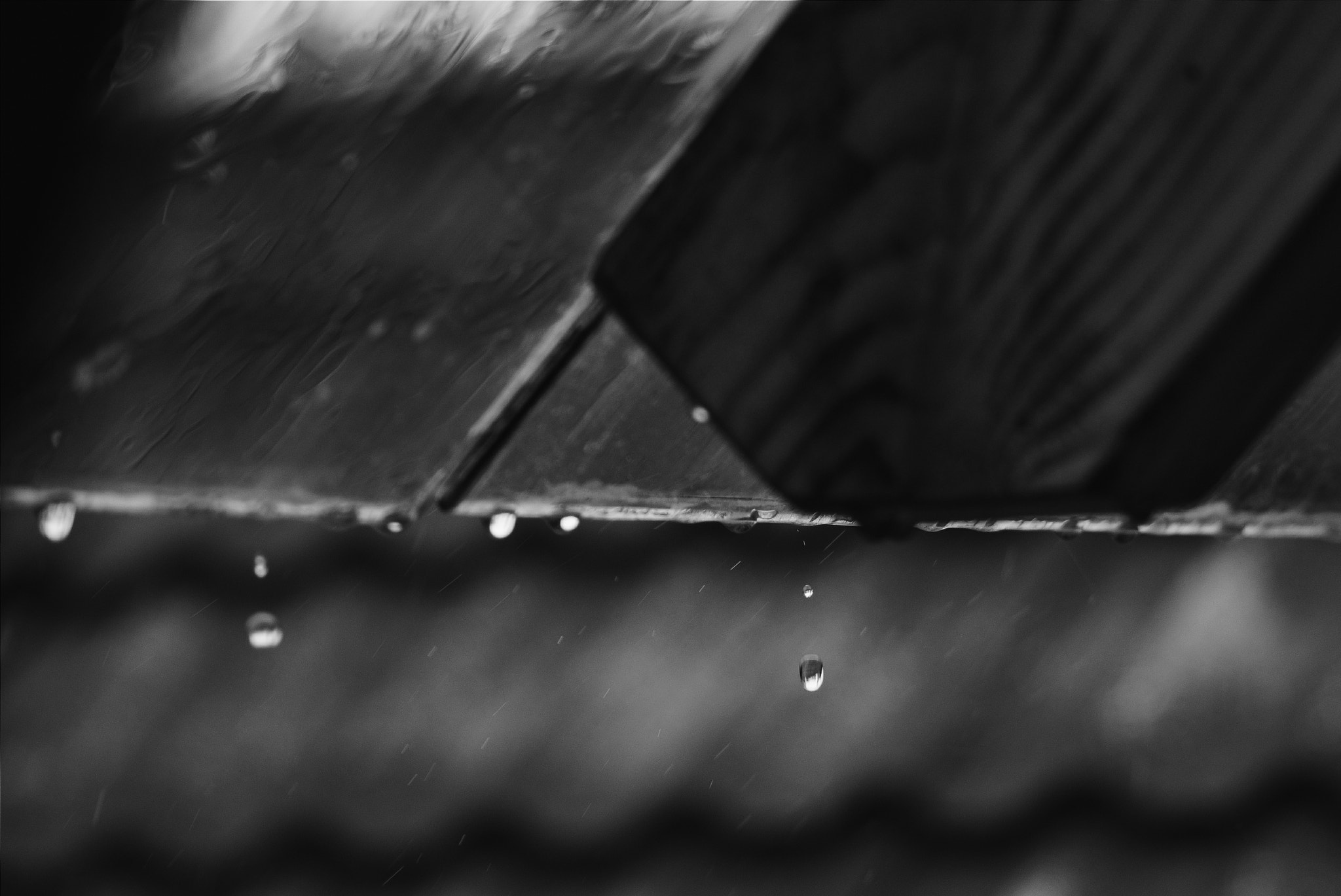 Sigma 70-300mm F4-5.6 APO DG Macro sample photo. Rain photography