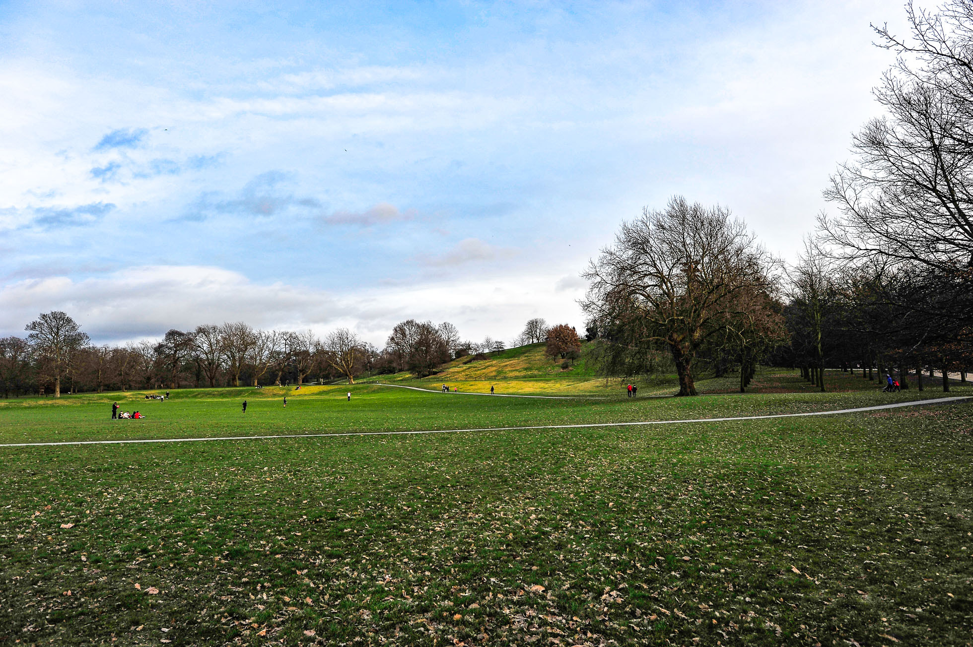 Nikon D700 + Nikon AF-S Nikkor 24mm F1.4G ED sample photo. London photography