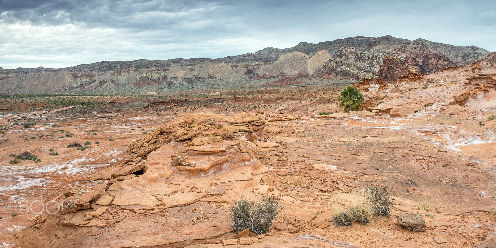 AF Zoom-Nikkor 28-105mm f/3.5-4.5D IF sample photo. Gold butte national monument photography
