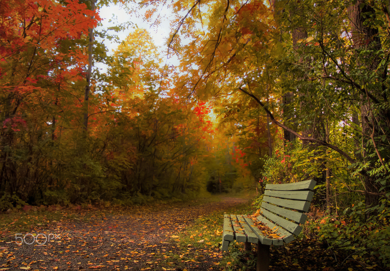 Canon PowerShot SX1 IS sample photo. An empty bench in the park photography