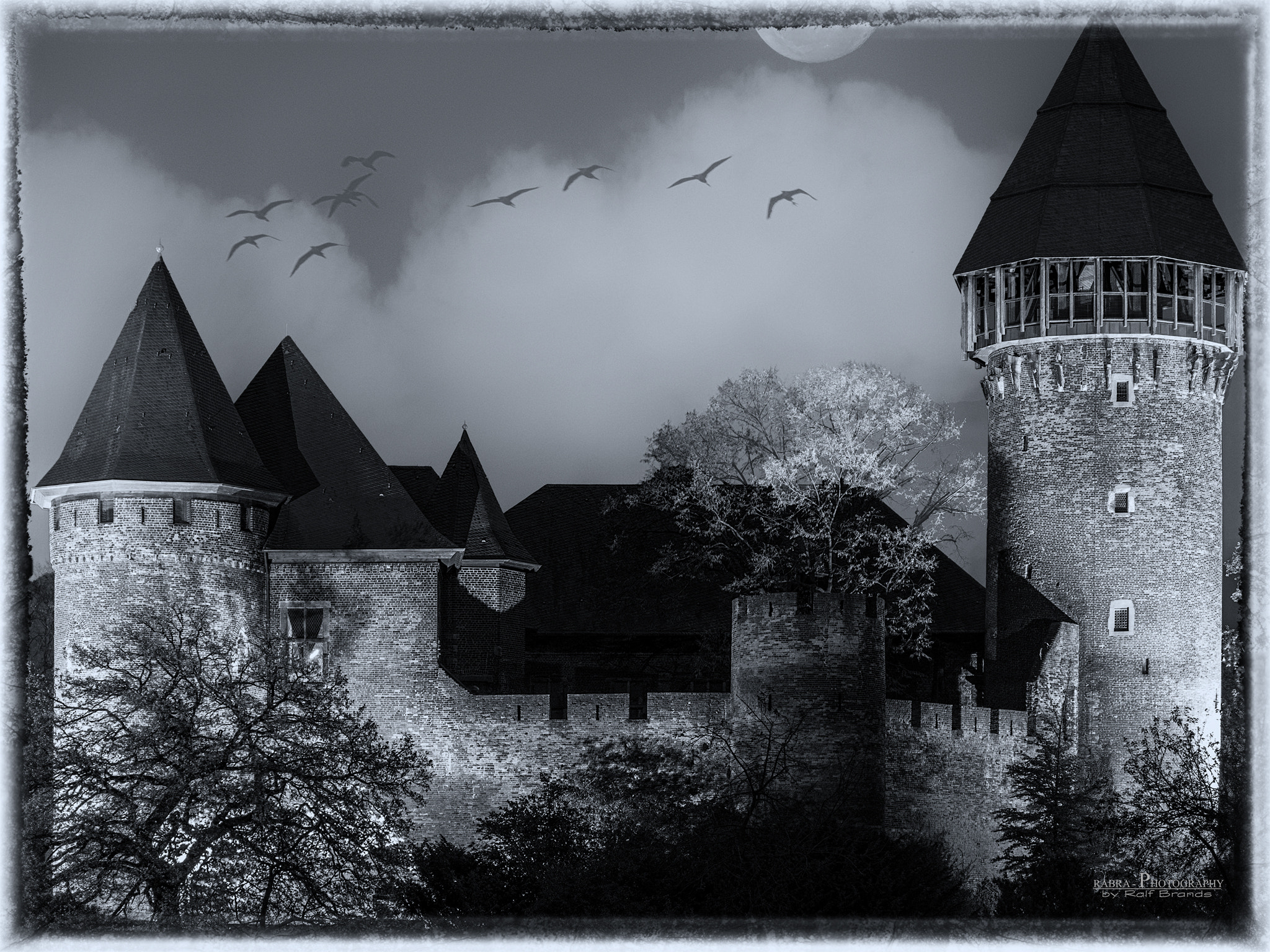Panasonic Lumix G Vario 45-200mm F4-5.6 OIS sample photo. Burg linn photography