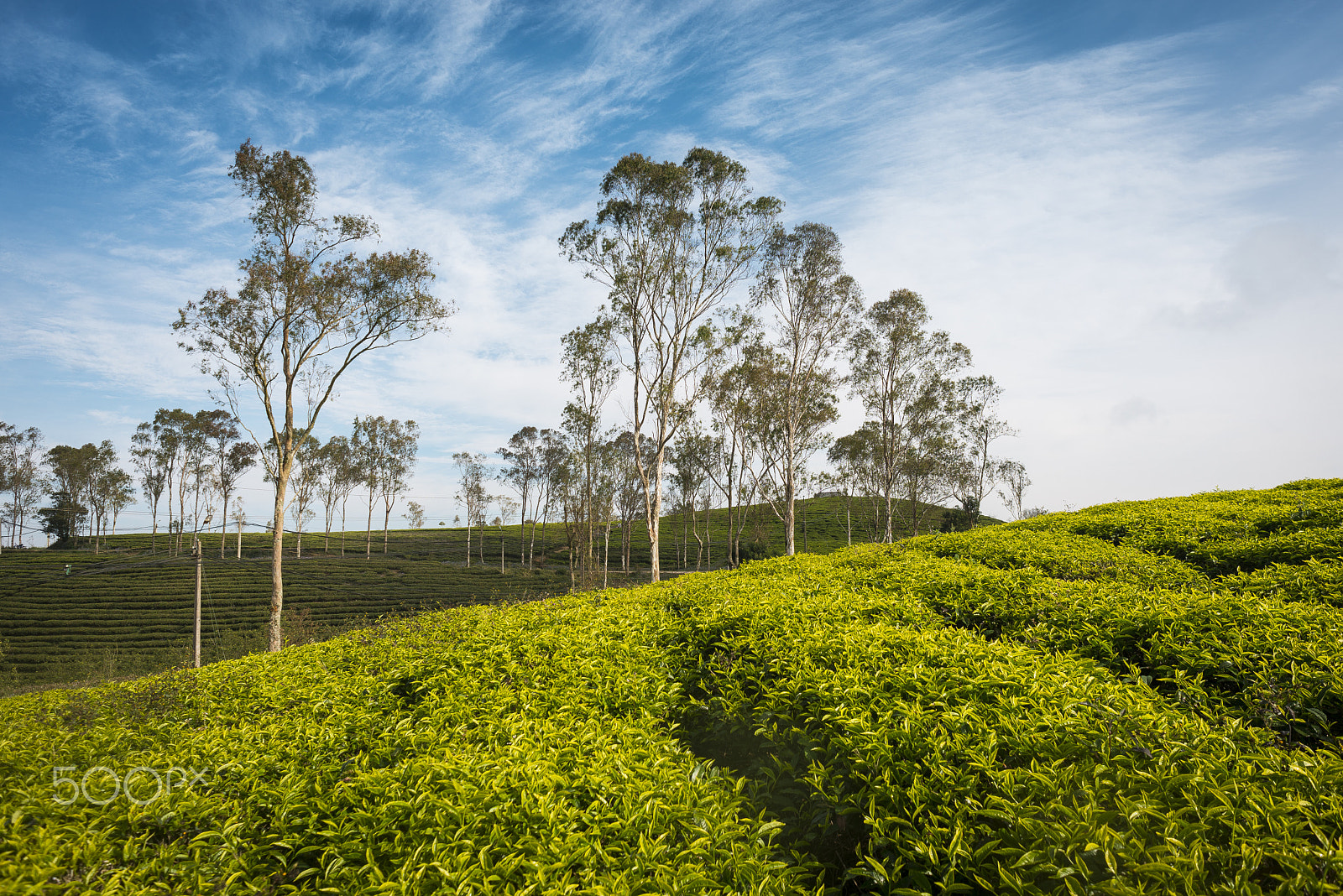 Nikon D610 + Nikon AF Nikkor 24mm F2.8D sample photo. Peace photography