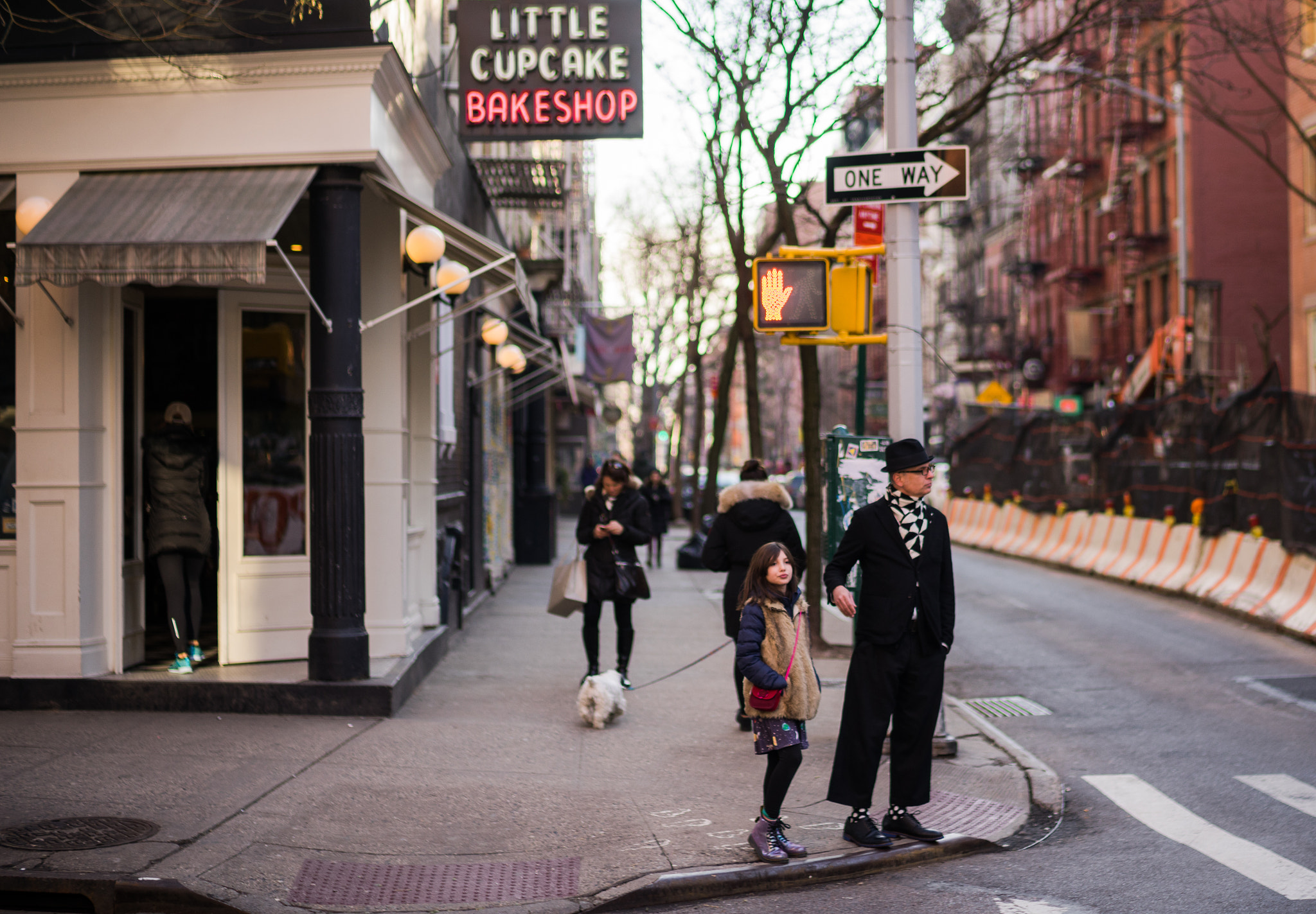 Sony a7 + E 50mm F1.4 sample photo. Ny_soho photography