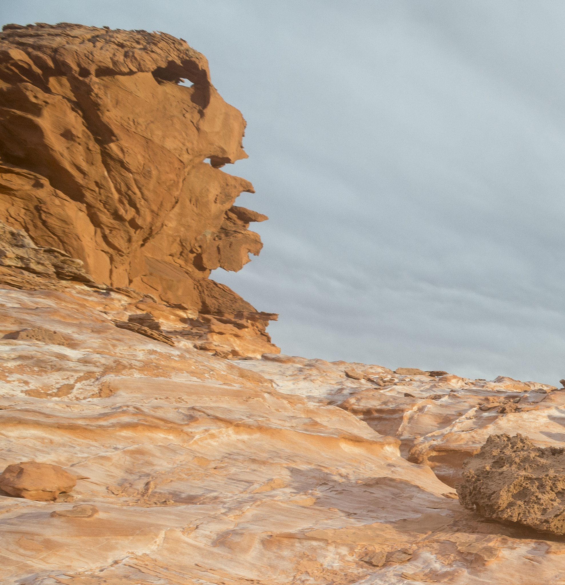 Nikon D800 + Nikon AF Nikkor 20mm F2.8D sample photo. Warrior photography