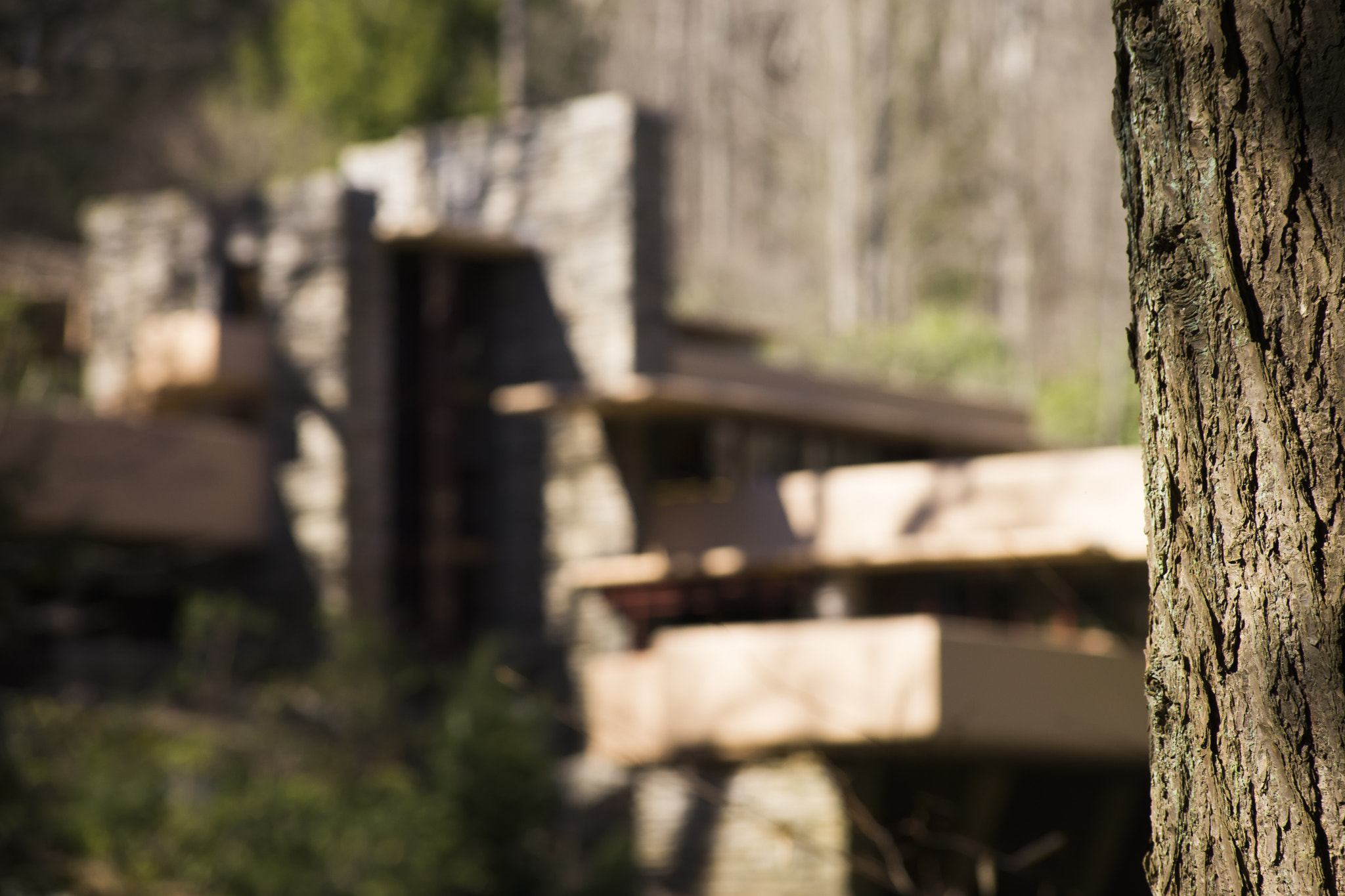 Sigma 70-300mm F4-5.6 DL Macro sample photo. Fallingwater photography