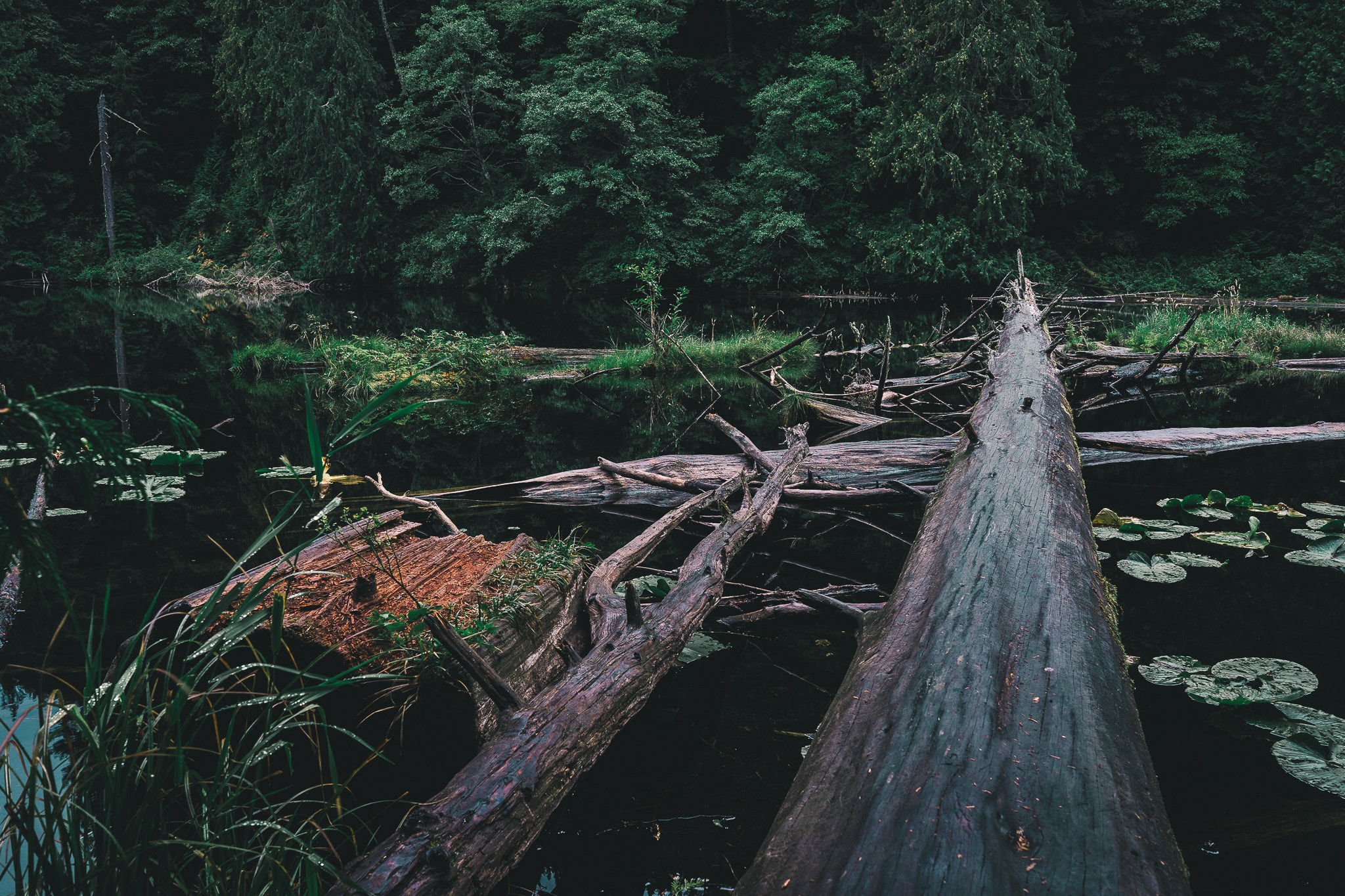 Sony a7 + Sony FE 28mm F2 sample photo. Lost lake photography