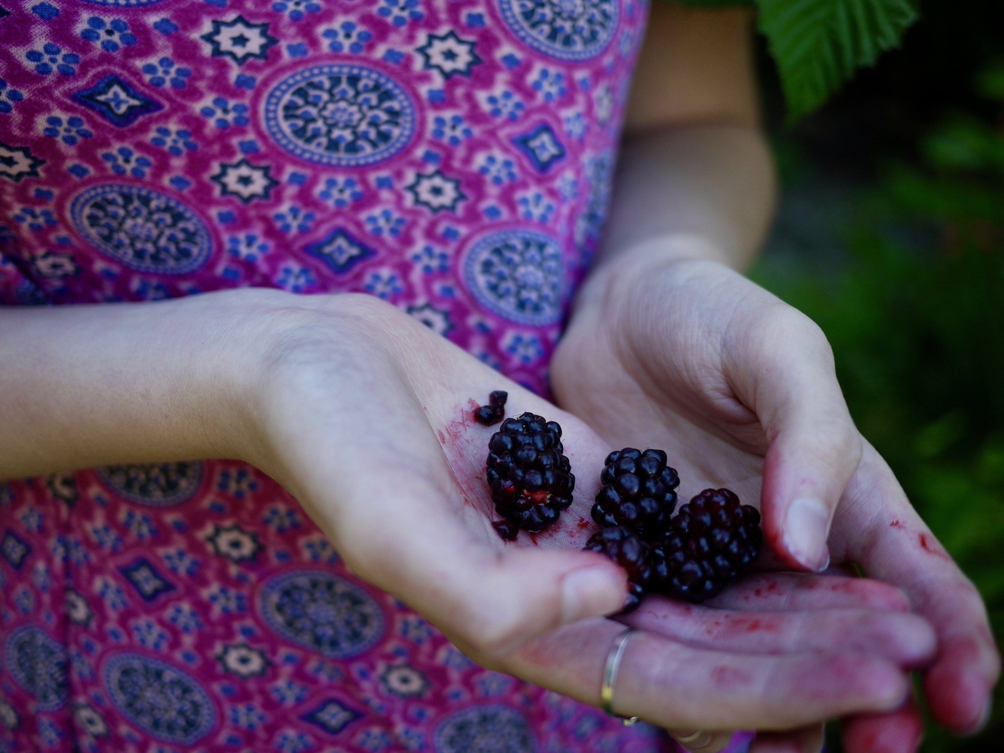 Panasonic Lumix DMC-GF1 sample photo. Berry picking photography
