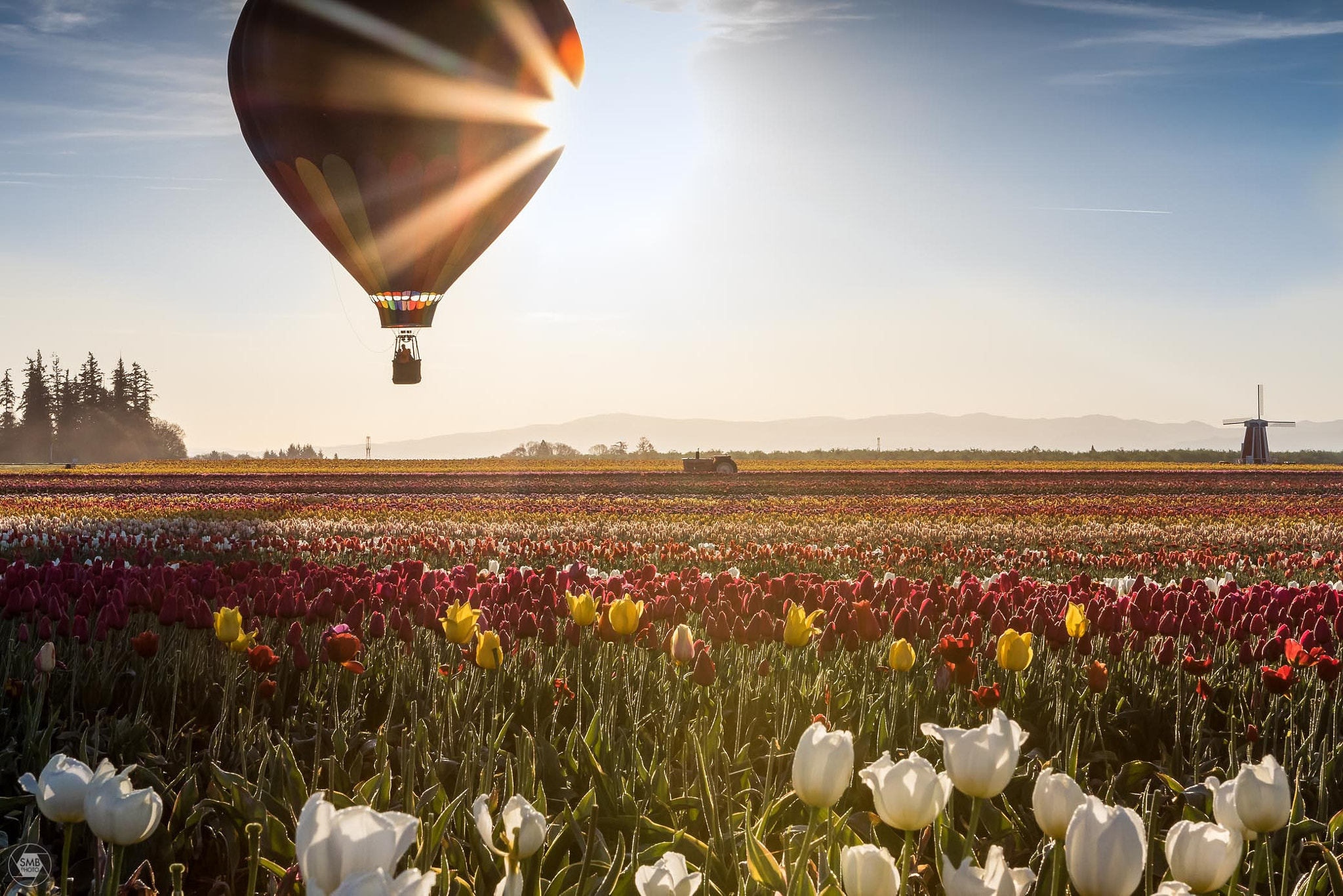 Canon EF 24-70mm F2.8L USM sample photo. Sunrise with the tulips photography