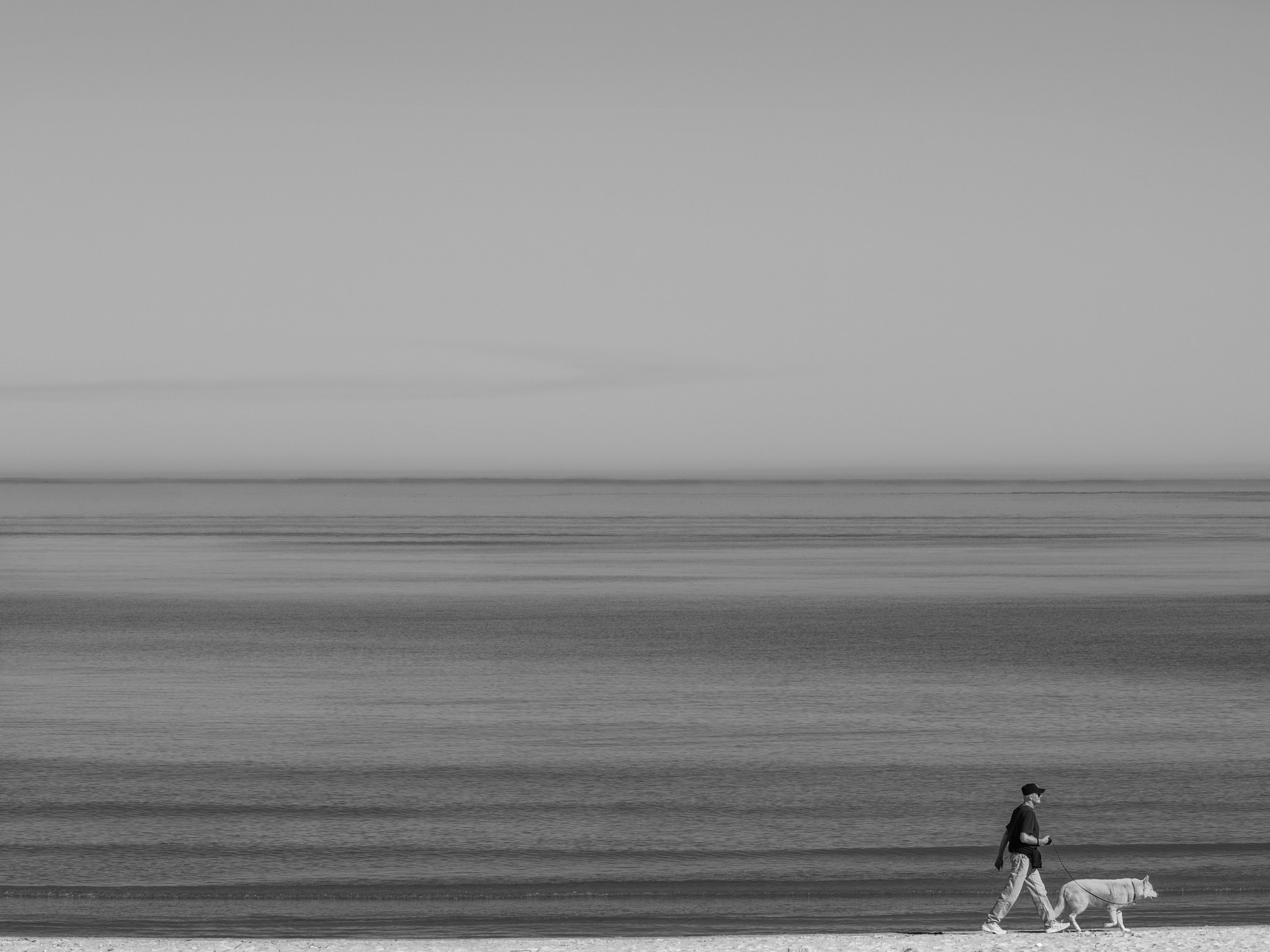 Canon EOS 5DS R sample photo. Lakefront dog walk photography
