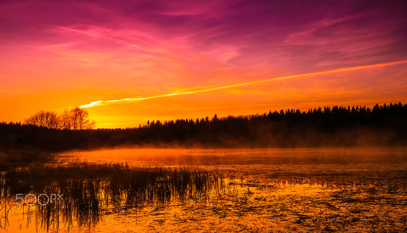 Nikon D300 + Sigma 18-50mm F2.8-4.5 DC OS HSM sample photo. Am teich photography