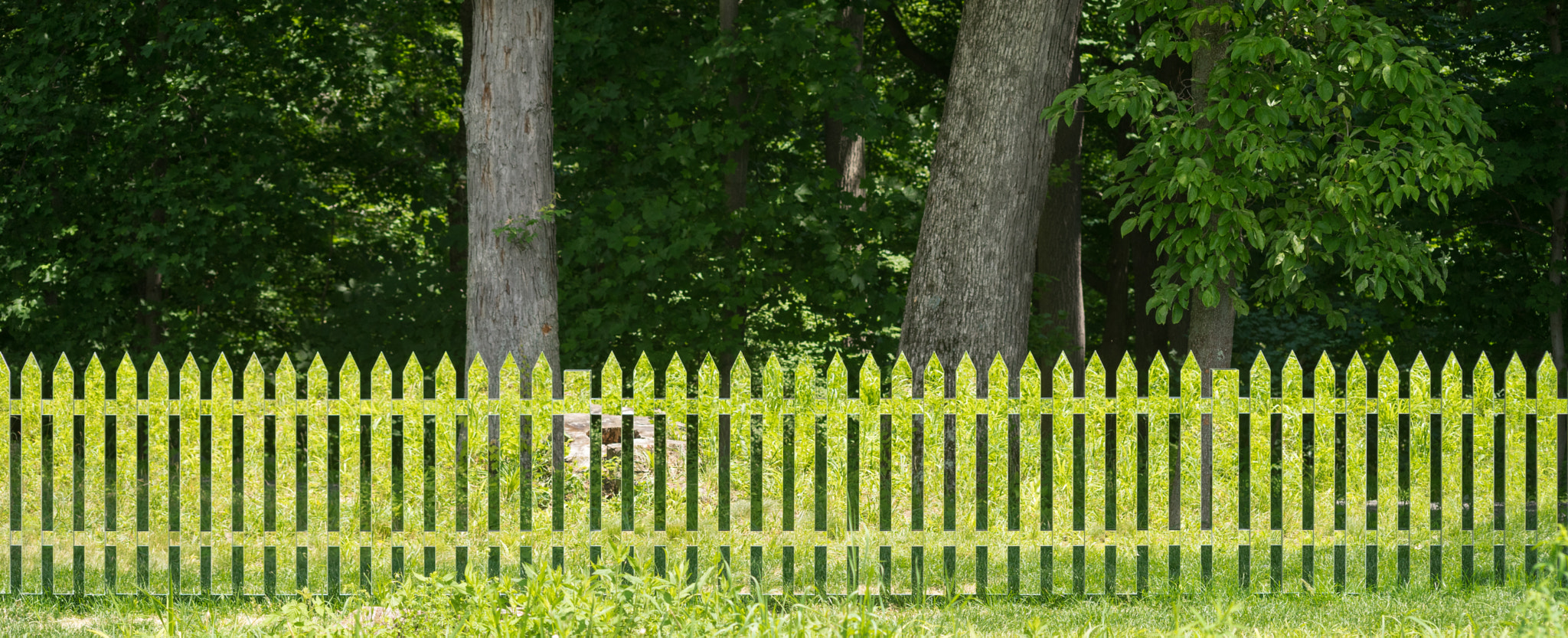 Sony a7 + Sigma 70-300mm F4-5.6 DL Macro sample photo. Alyson shotz's mirror fence at storm king photography