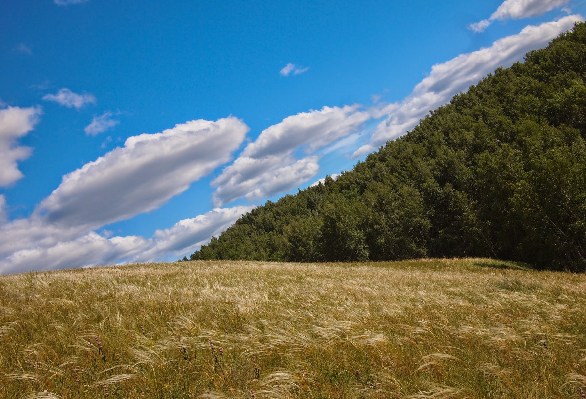 Olympus PEN E-PL1 + Panasonic Lumix G 20mm F1.7 ASPH sample photo. Slope photography