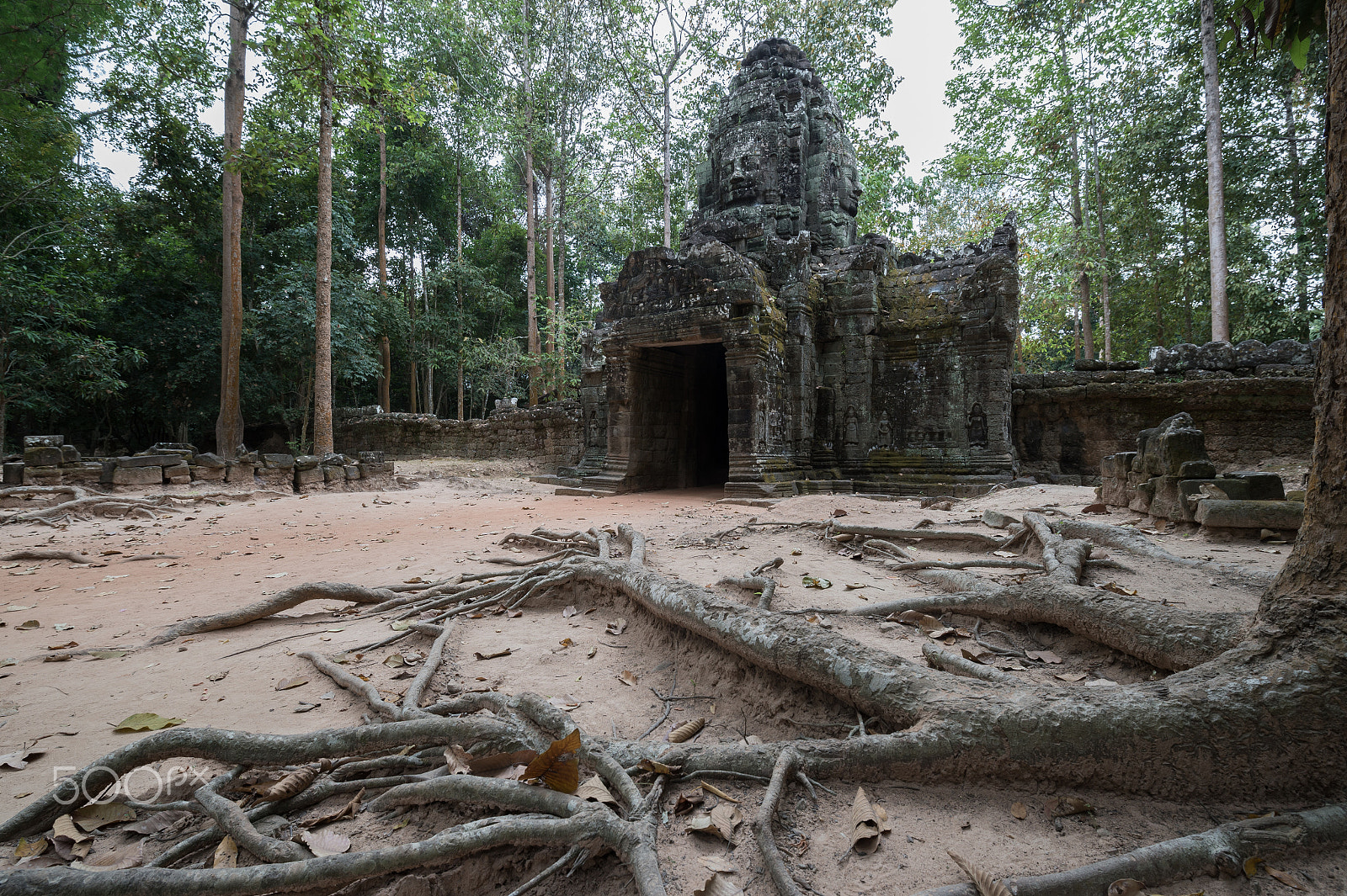 Nikon D4S sample photo. Old temples in cambodia photography