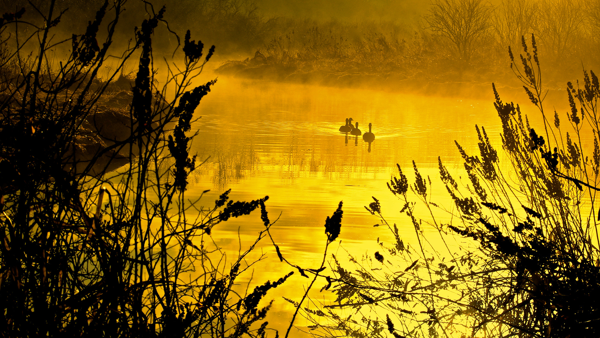 Pentax K-5 sample photo. Misty river 2 photography