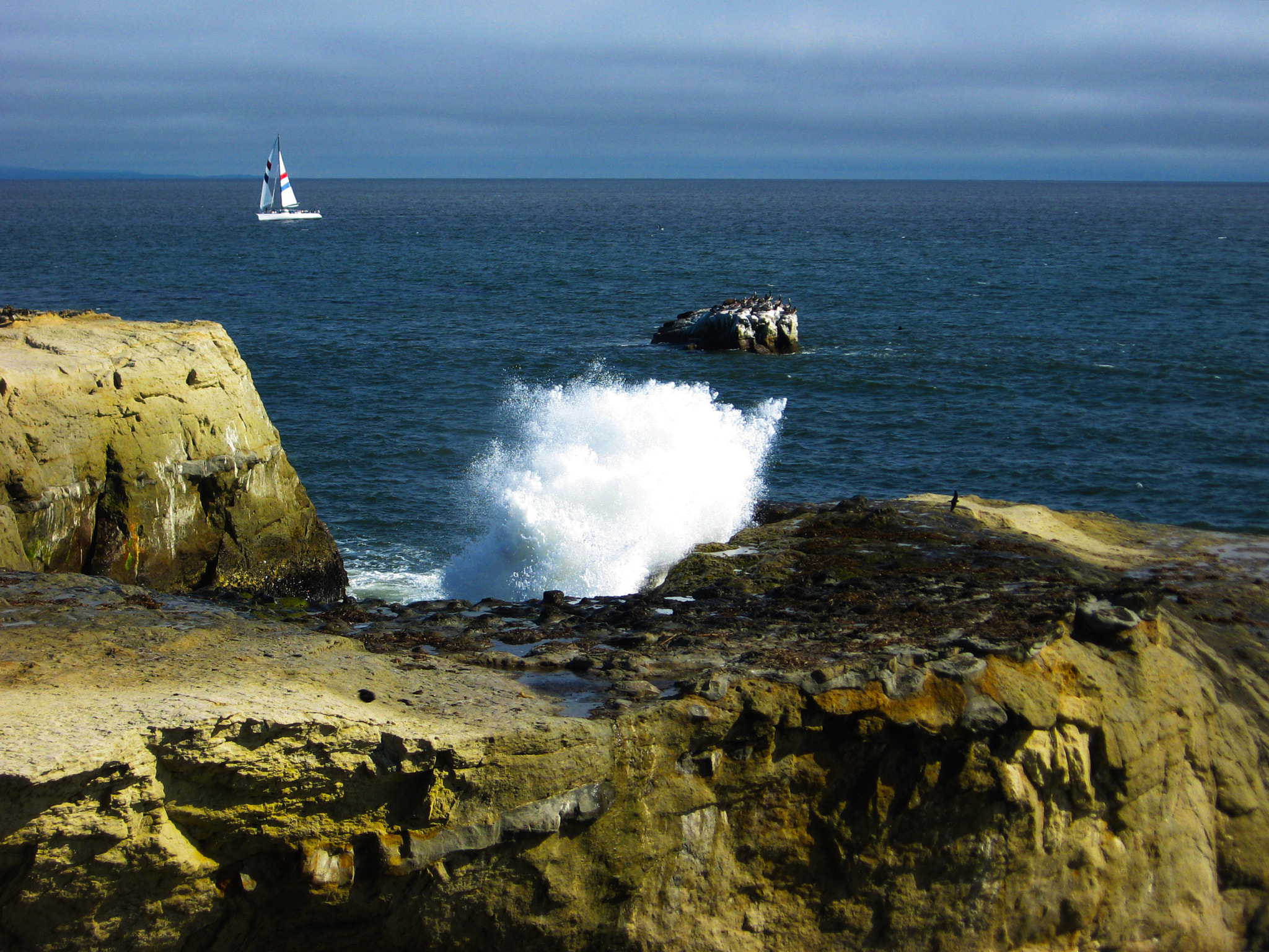 Canon POWERSHOT A550 sample photo. Santa cruz ocean photography