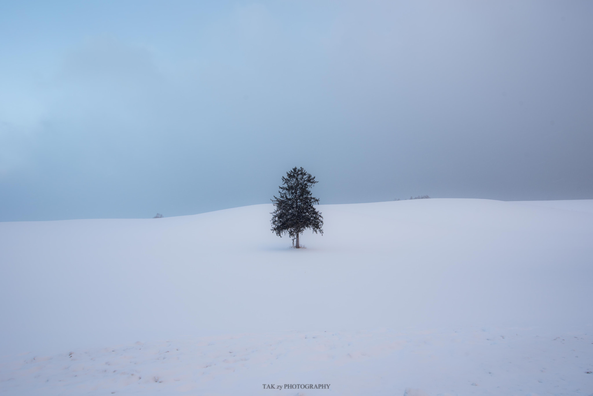 Nikon AF-S Nikkor 18-35mm F3.5-4.5G ED sample photo. The tree of  ”come,spring” photography