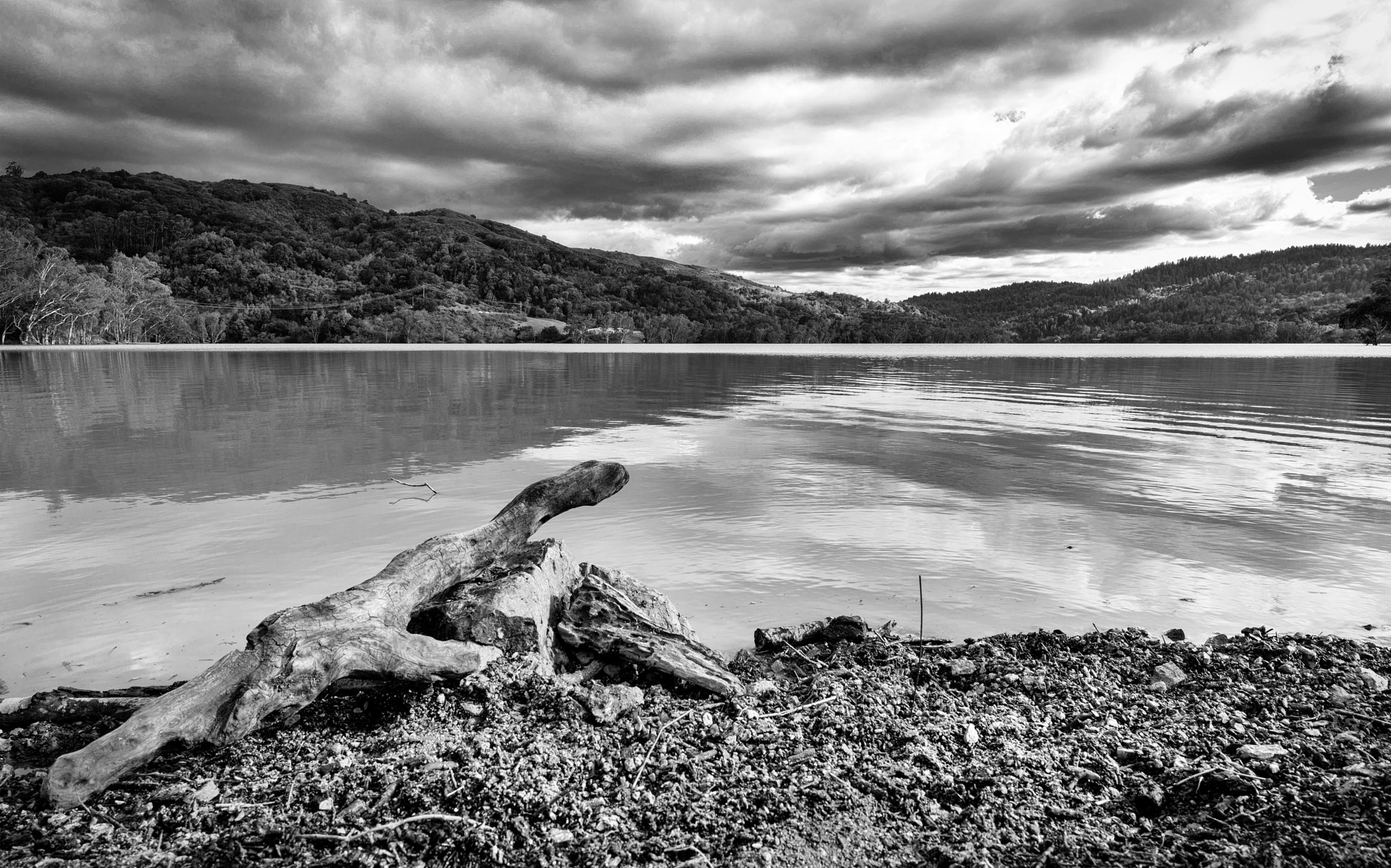 E 21mm F2.8 sample photo. Lexington reservoir photography