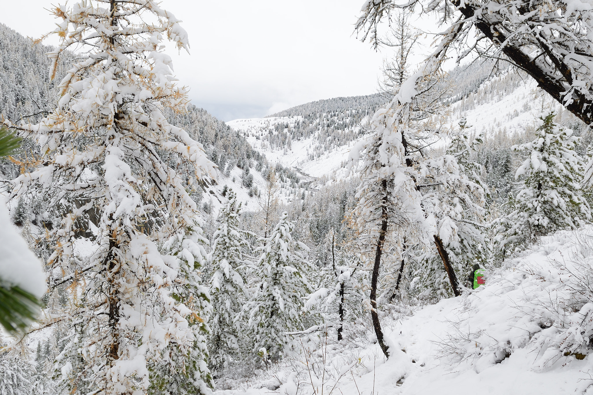 Nikon D800 sample photo. Russia, altai mountains photography