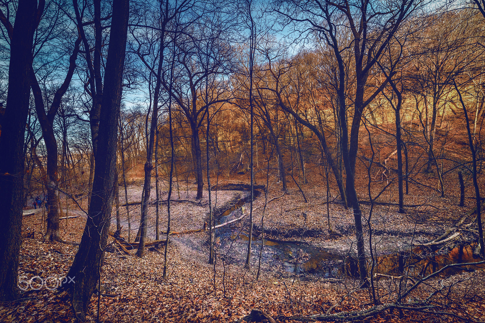 Samyang 14mm F2.8 ED AS IF UMC sample photo. The creek photography