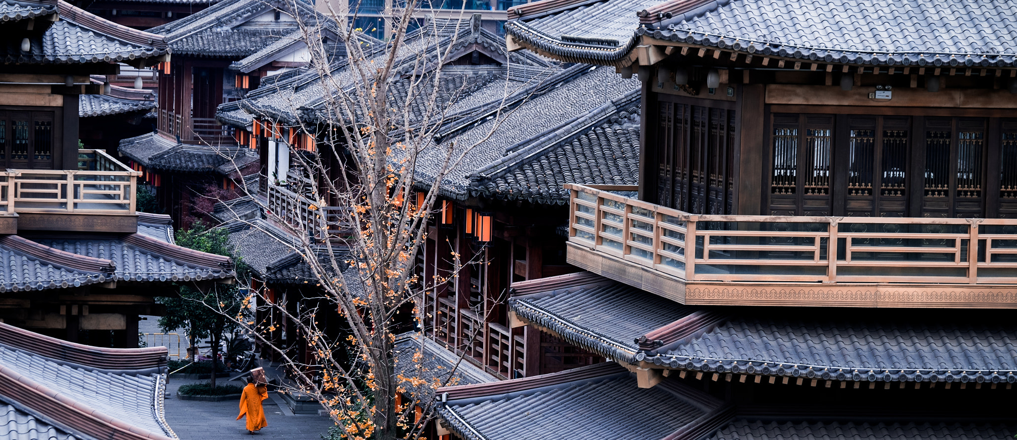 Fujifilm X-T1 + Fujifilm XF 50-140mm F2.8 R LM OIS WR sample photo. 223.jpg photography
