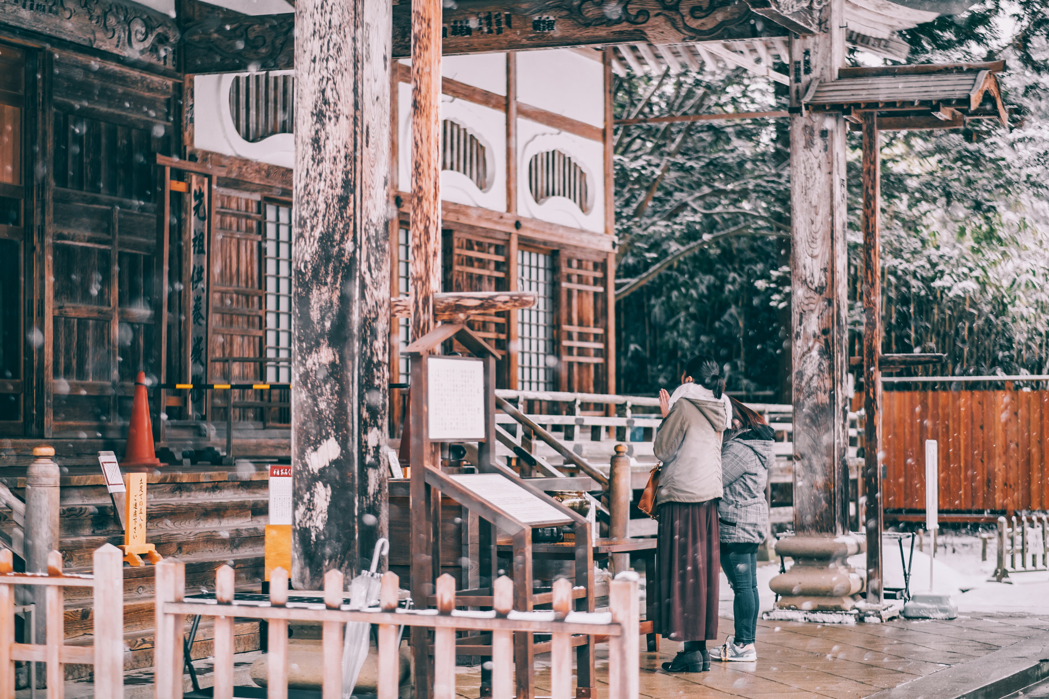 Fujifilm X-T2 + Fujifilm XF 56mm F1.2 R APD sample photo. One days photo. photography