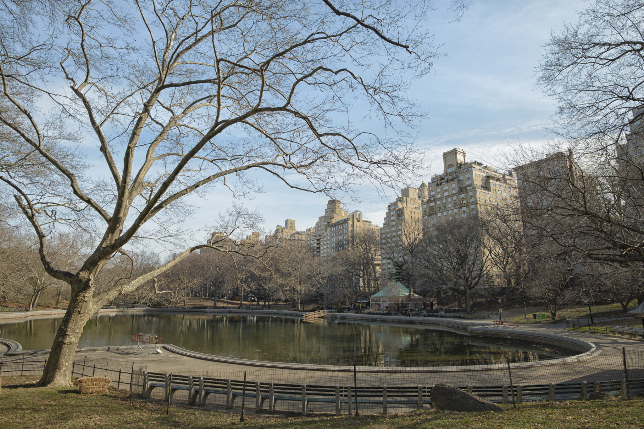 Nikon D600 + Nikon AF-S Nikkor 20mm F1.8G ED sample photo. Central park photography